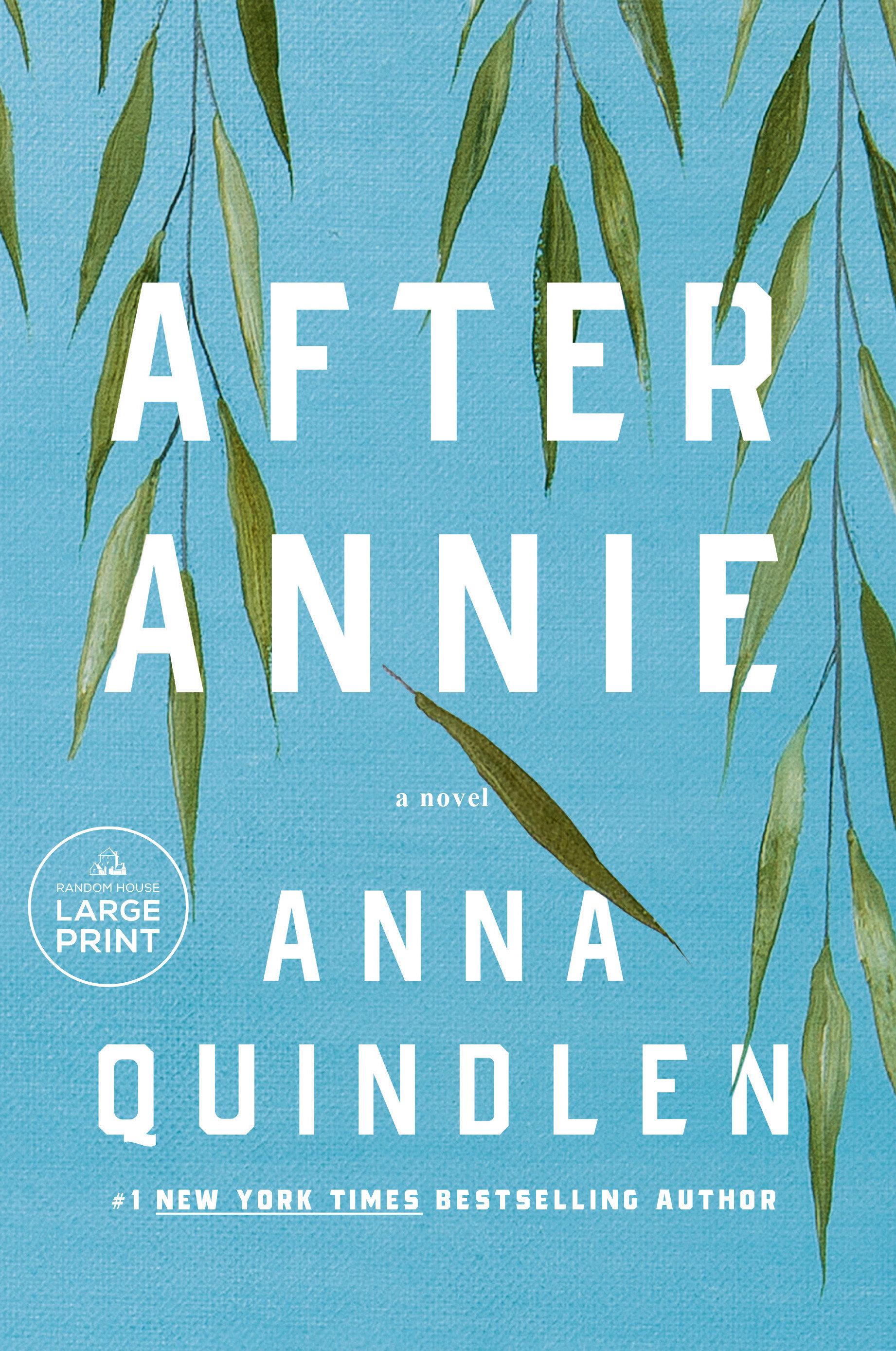 Vorderes Coverbild After Annie