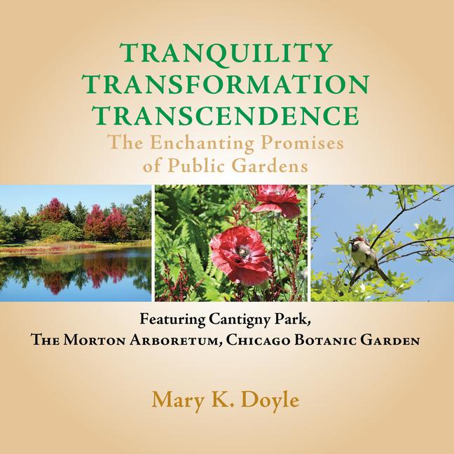 Vorderes Coverbild Tranquility Transformation Transcendence