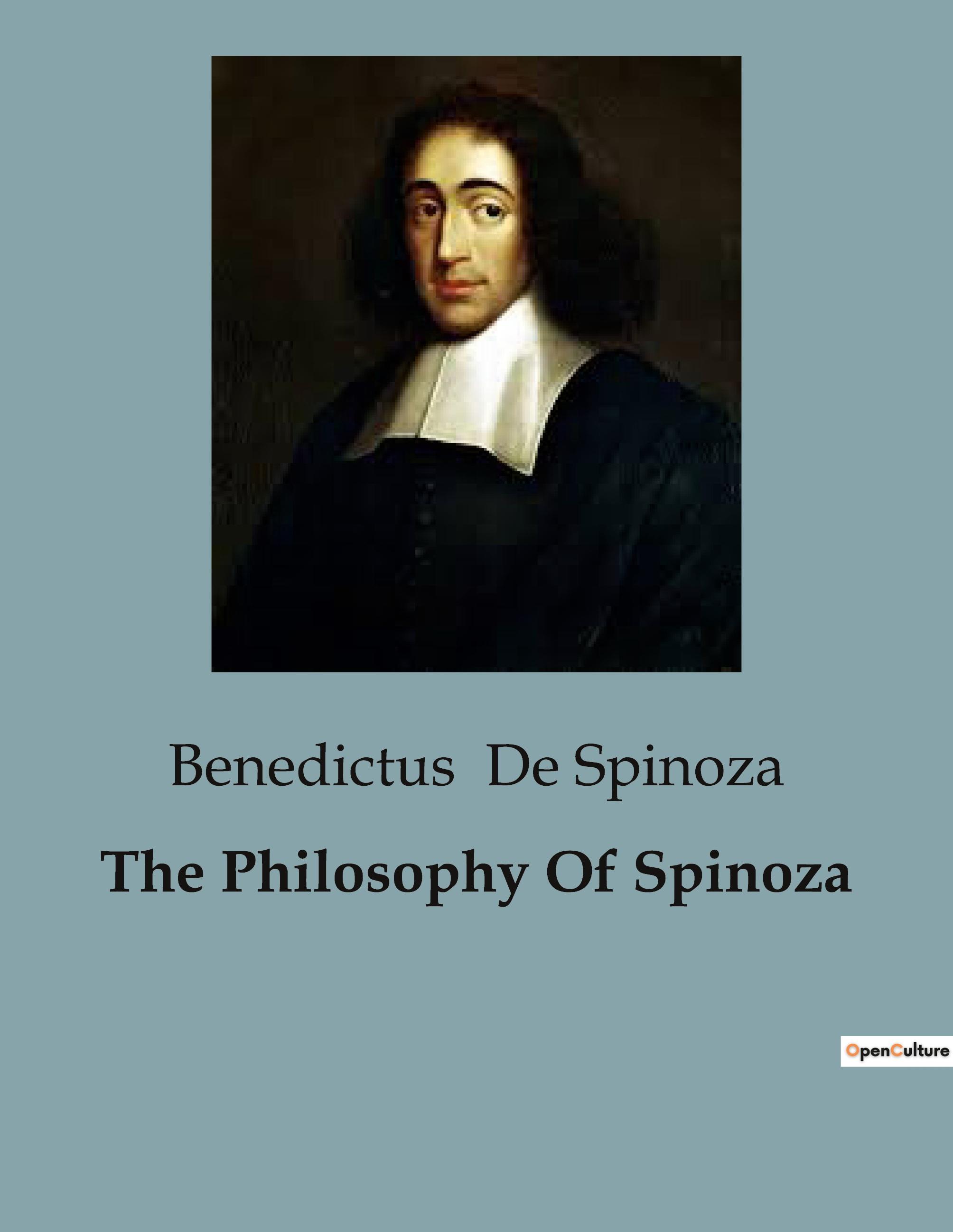 Vorderes Coverbild The Philosophy Of Spinoza