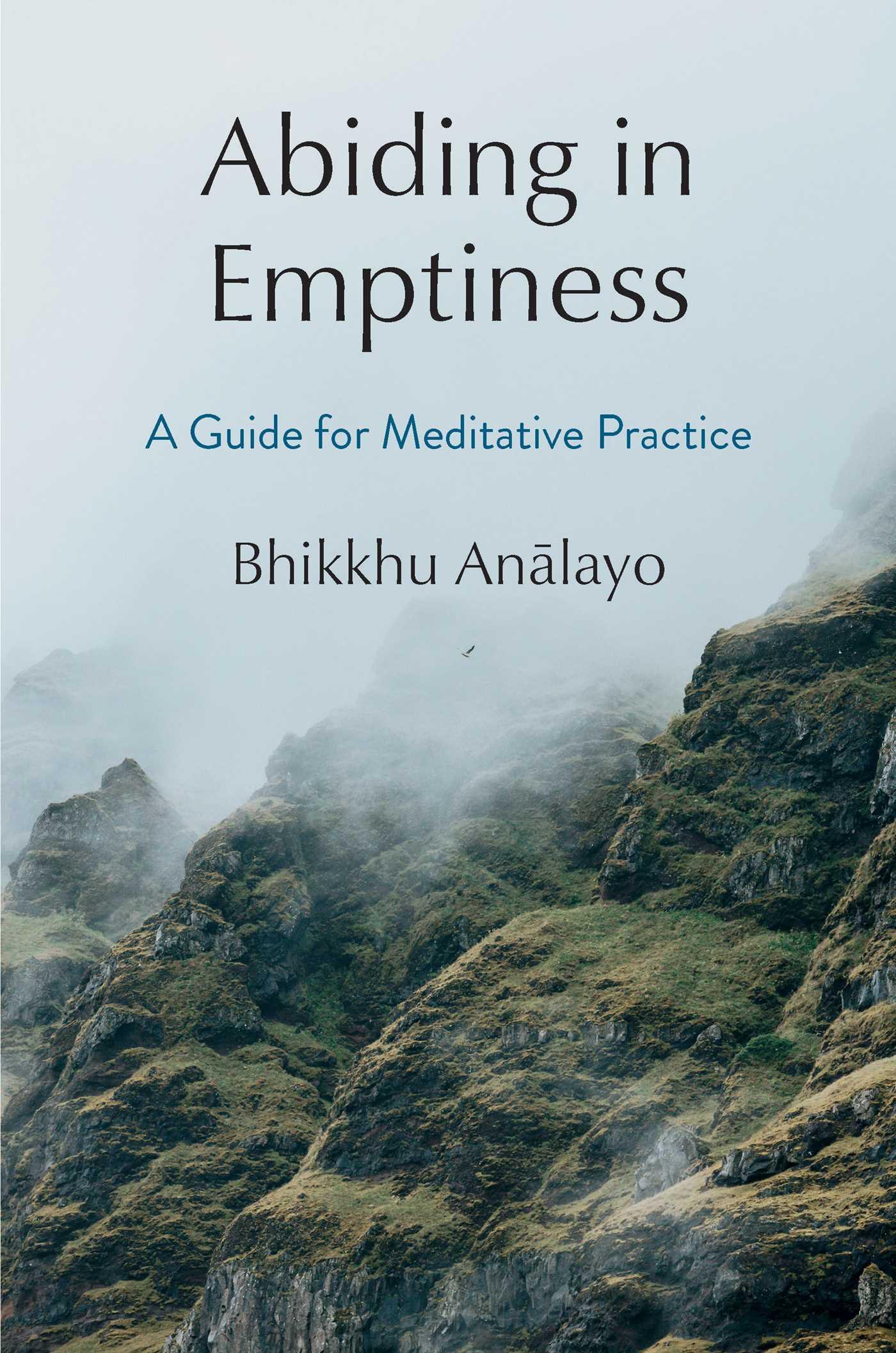 Vorderes Coverbild Abiding in Emptiness