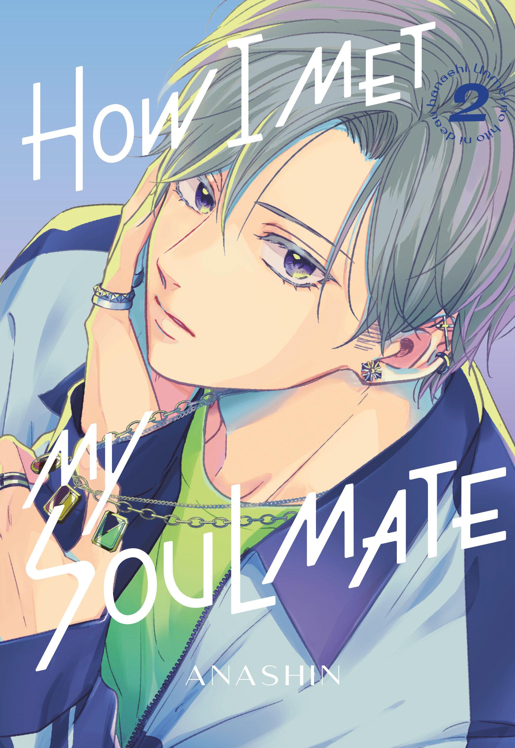 Vorderes Coverbild How I Met My Soulmate 2