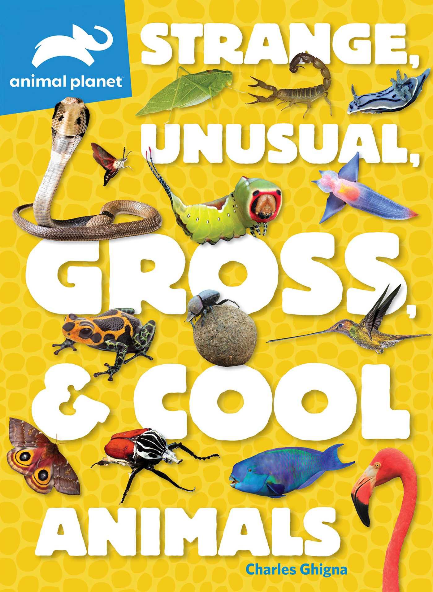 Vorderes Coverbild Animal Planet: Strange, Unusual, Gross, & Cool Animals