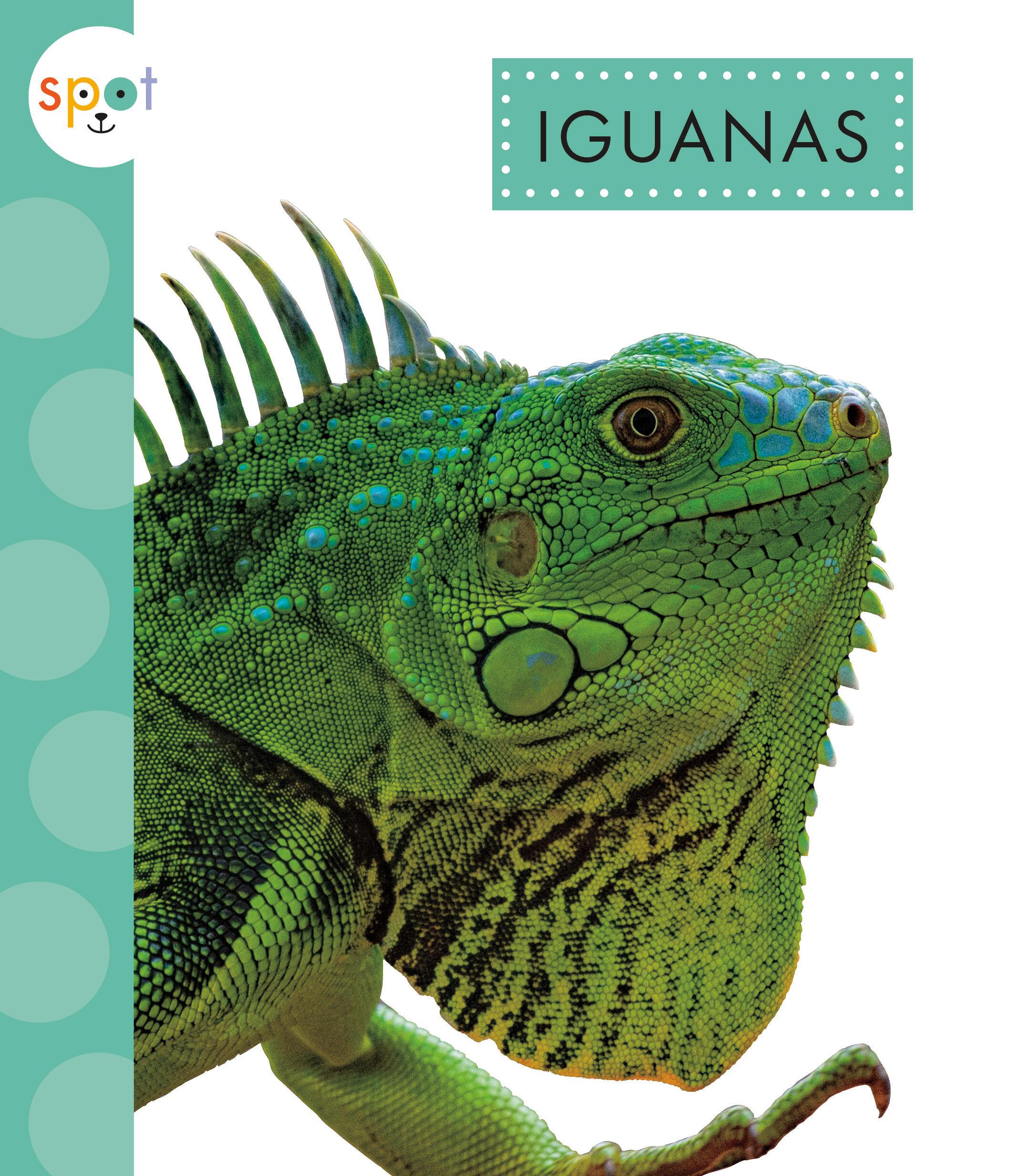 Vorderes Coverbild Iguanas