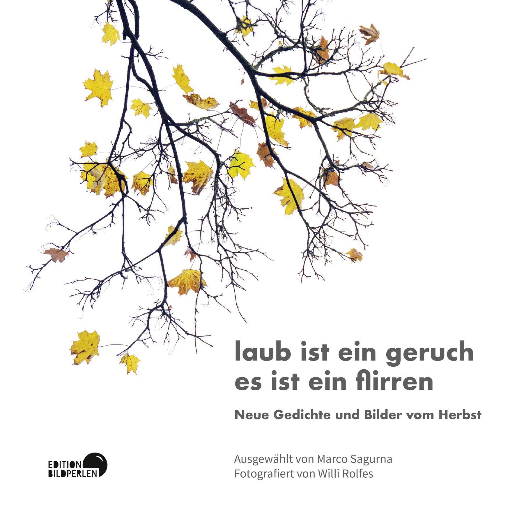 Vorderes Coverbild laub ist ein geruch es ist ein flirren