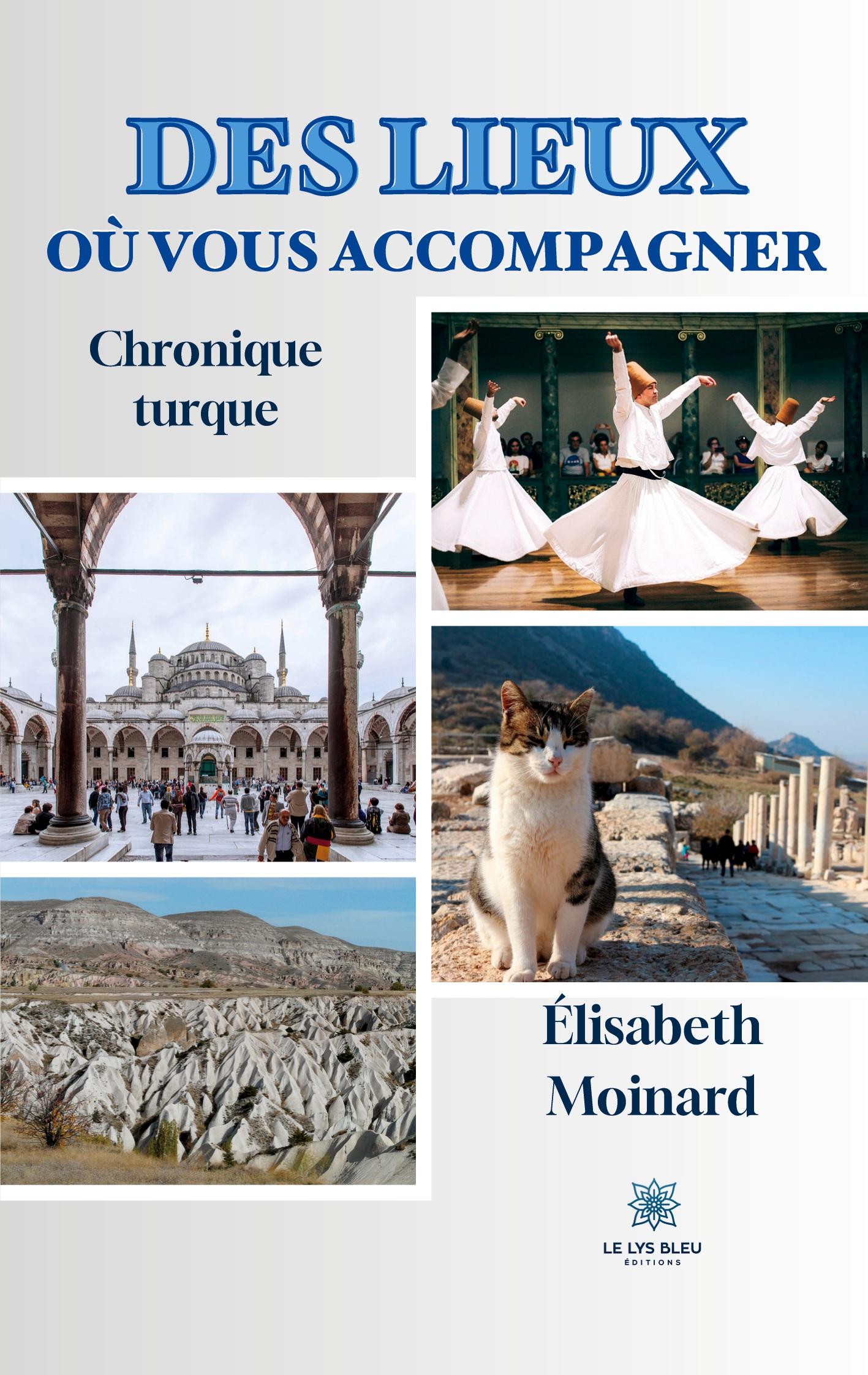 Vorderes Coverbild Des lieux où vous accompagner