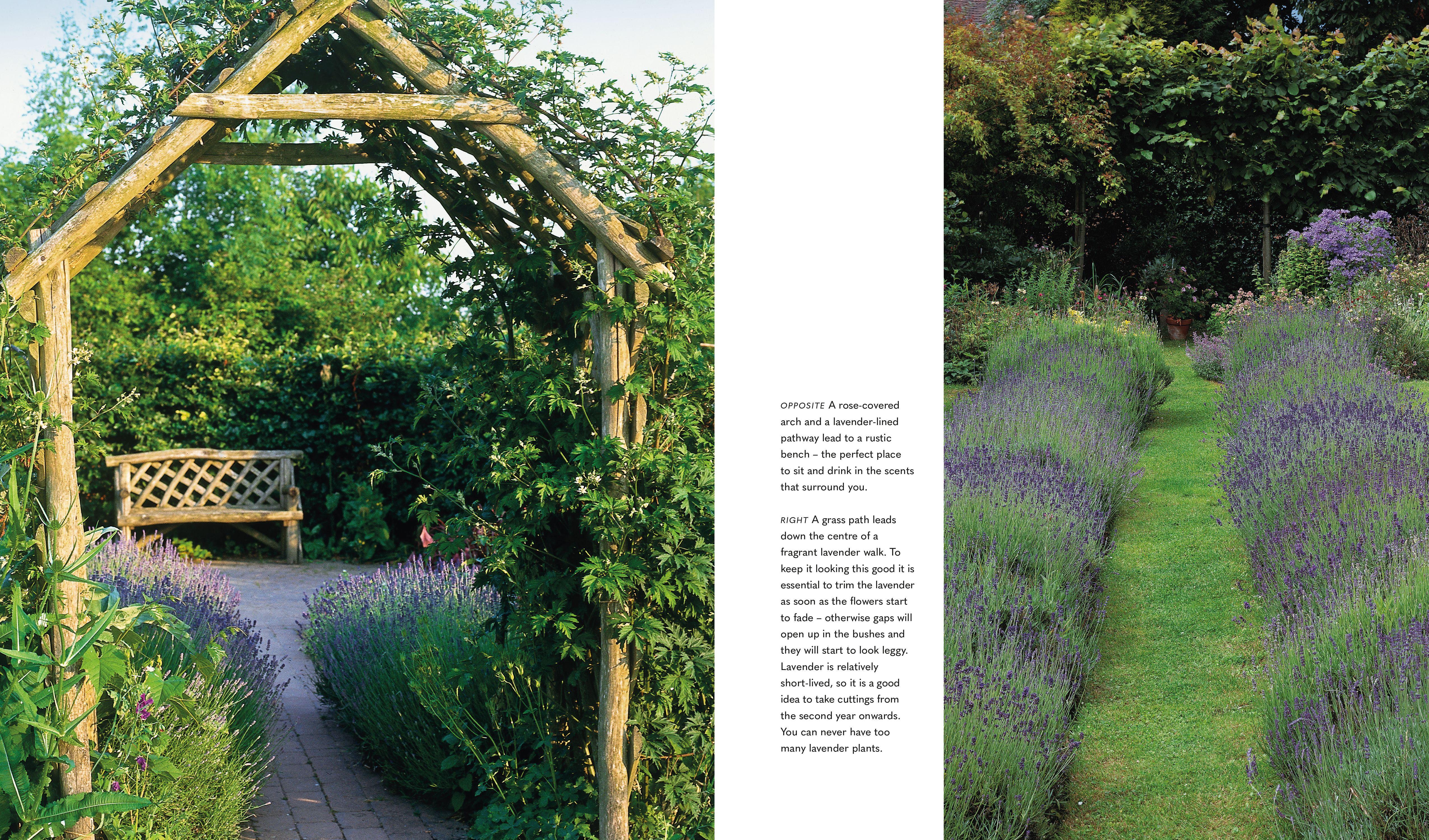 Beispielinhalt (Bild) Mindful Garden