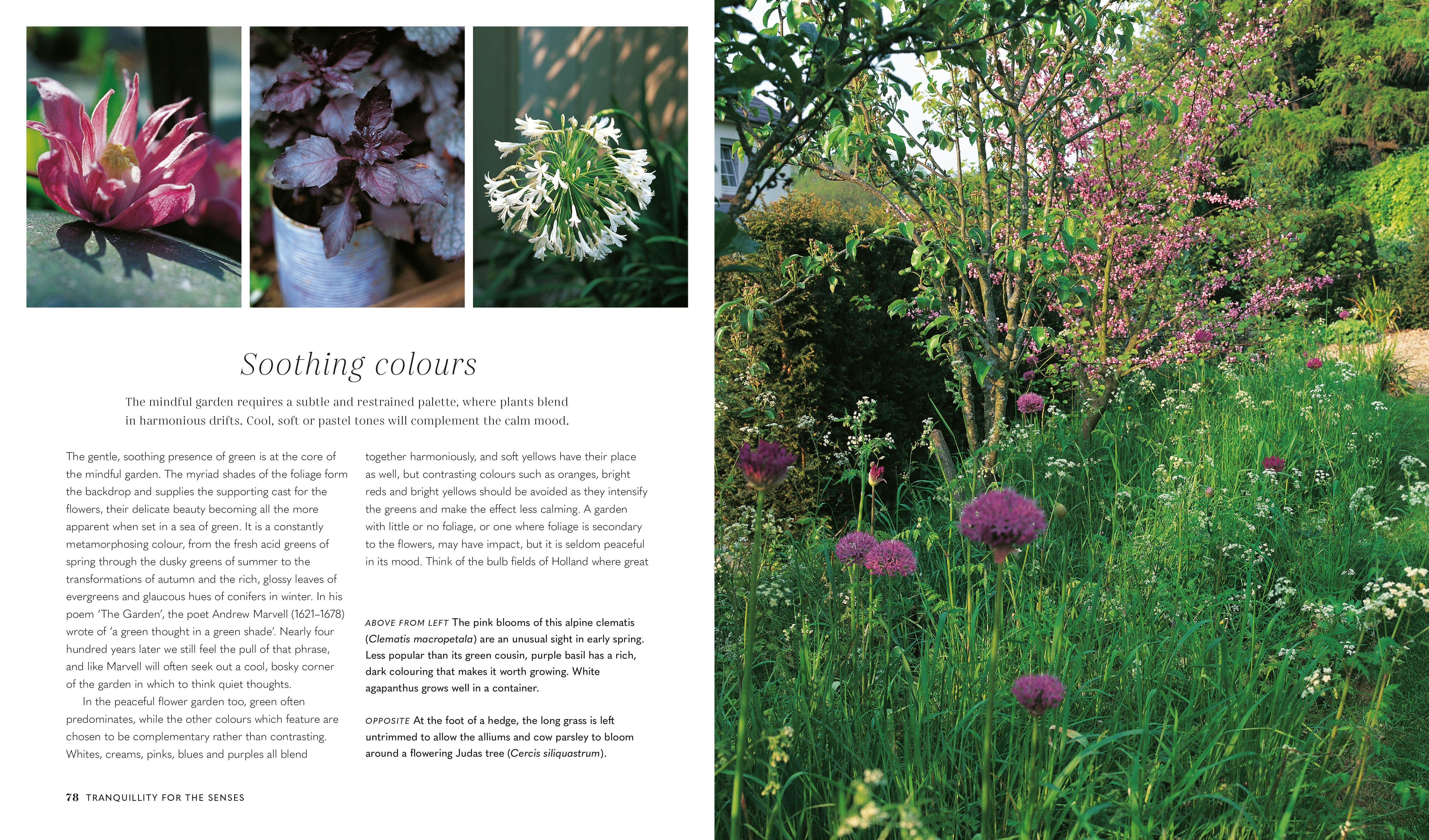 Beispielinhalt (Bild) Mindful Garden