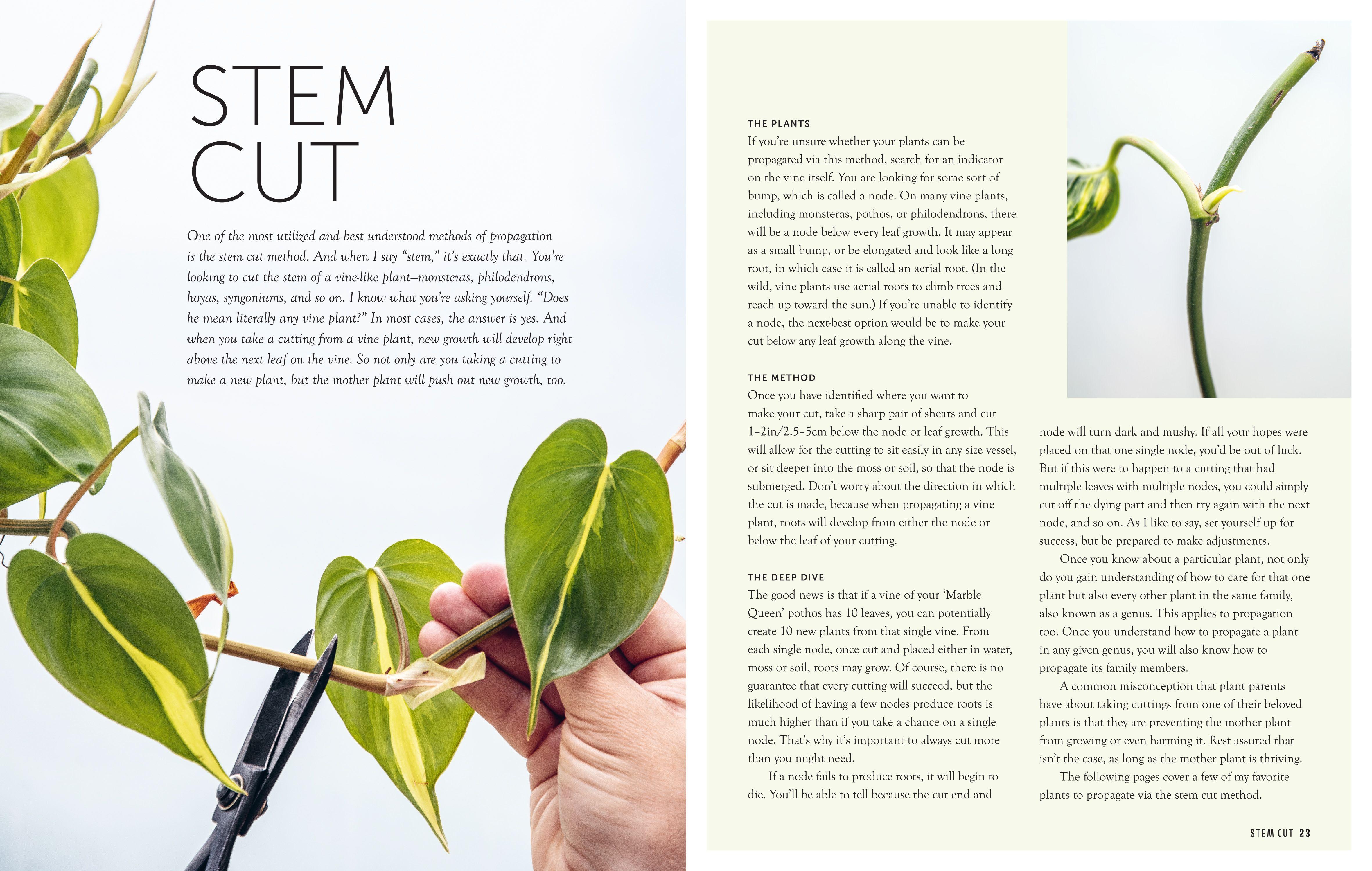 Beispielinhalt (Bild) The Propagation Handbook