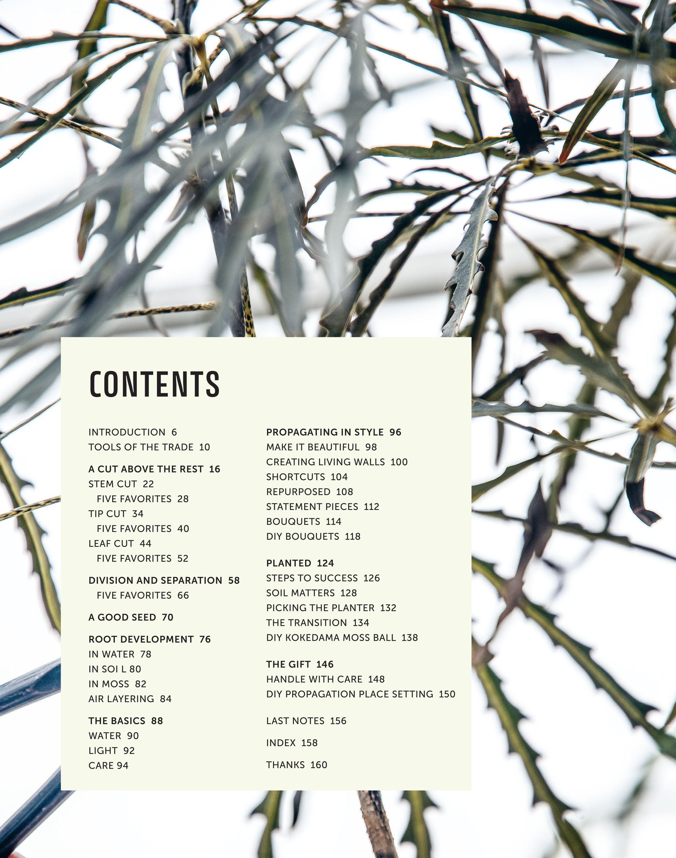 Beispielinhalt (Bild) The Propagation Handbook