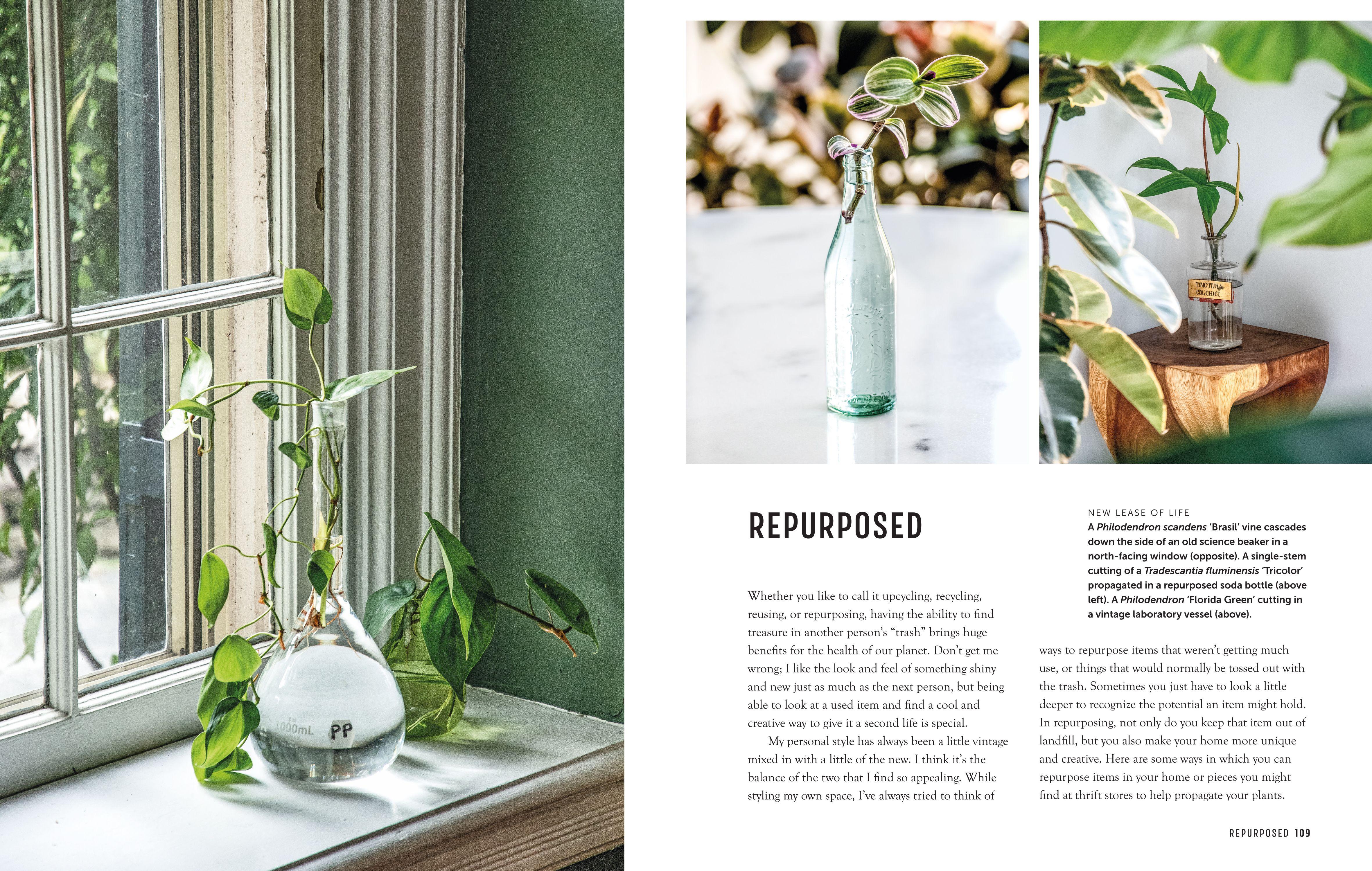 Beispielinhalt (Bild) The Propagation Handbook