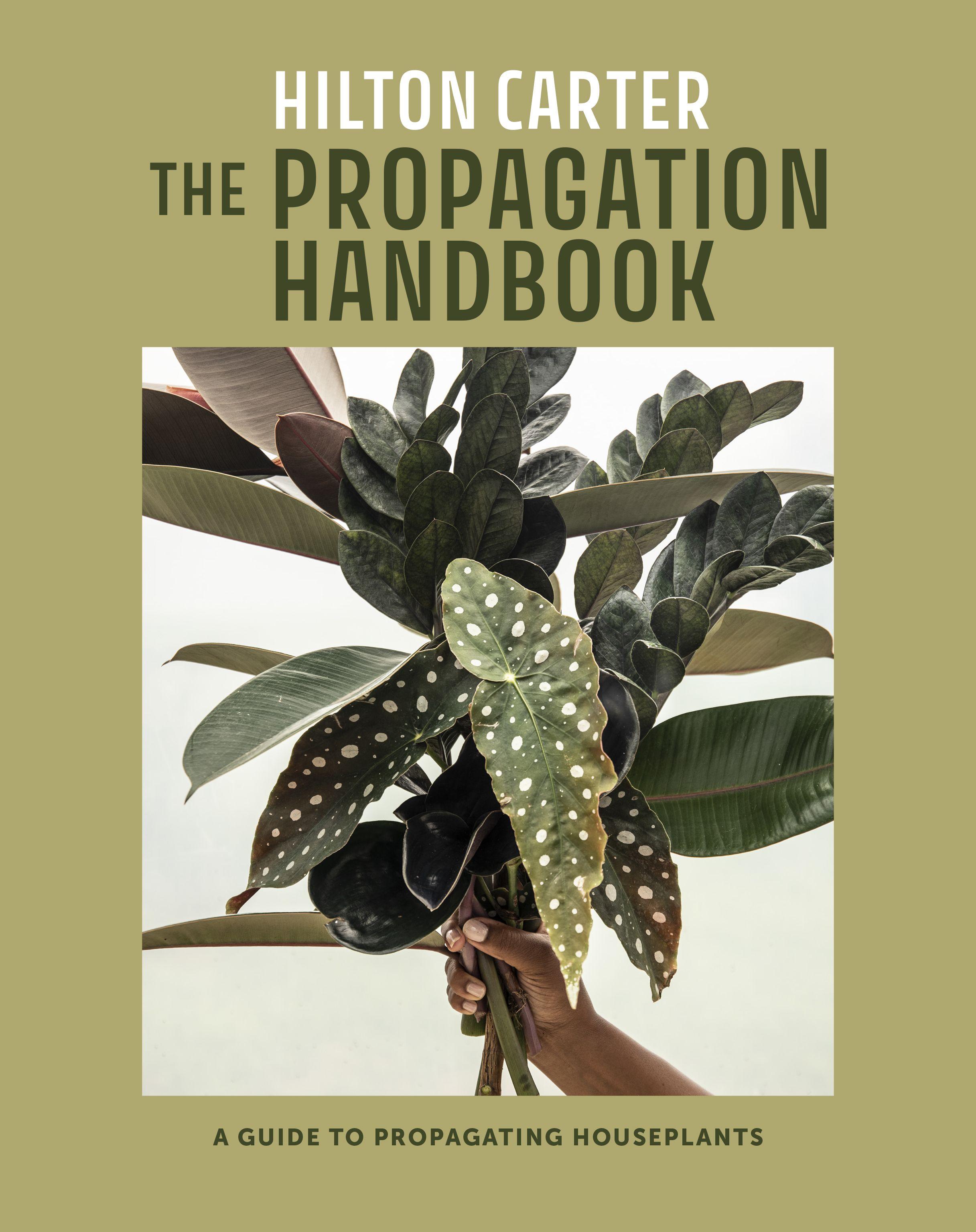 Vorderes Coverbild The Propagation Handbook