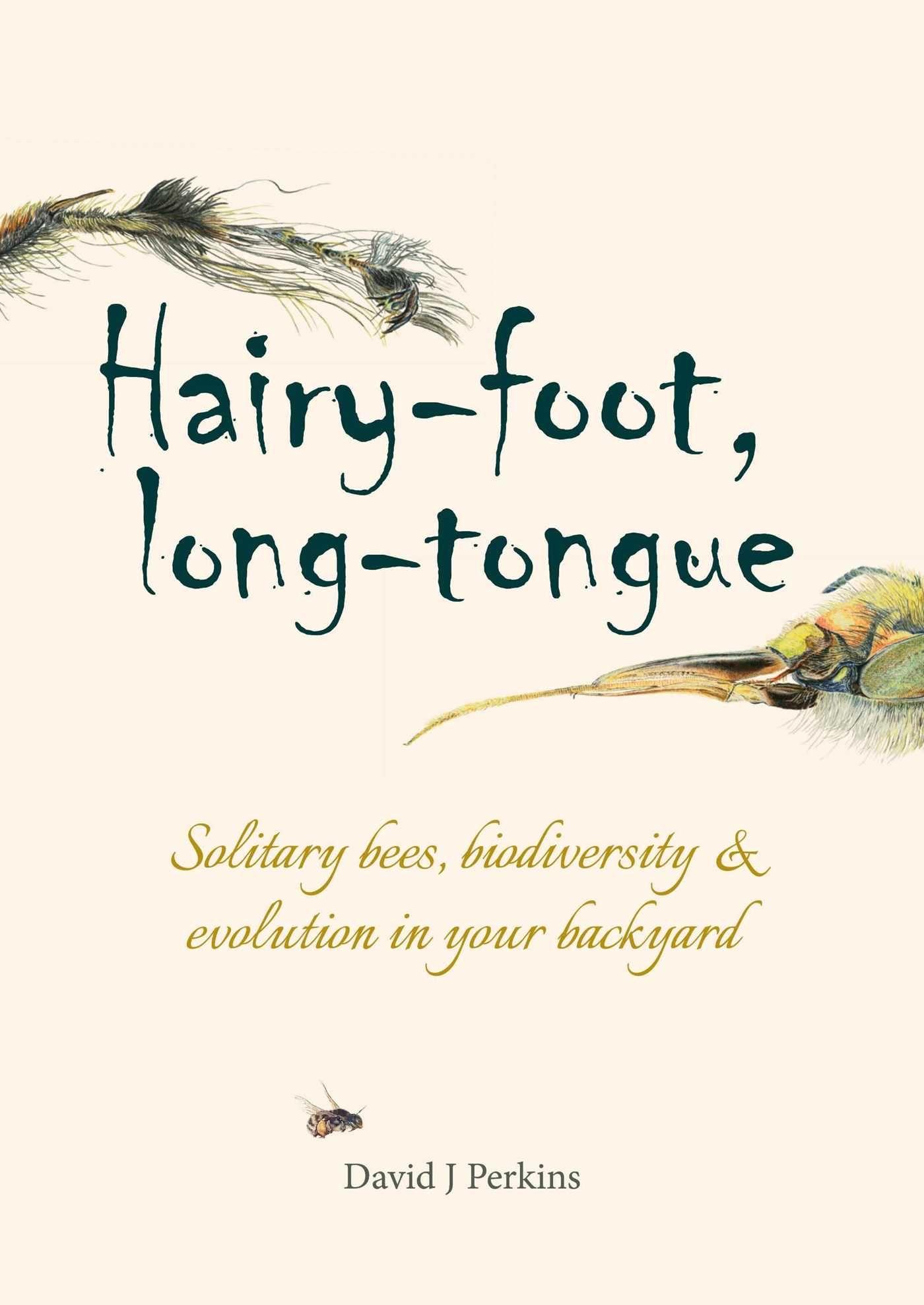 Vorderes Coverbild Hairy-foot, long-tongue
