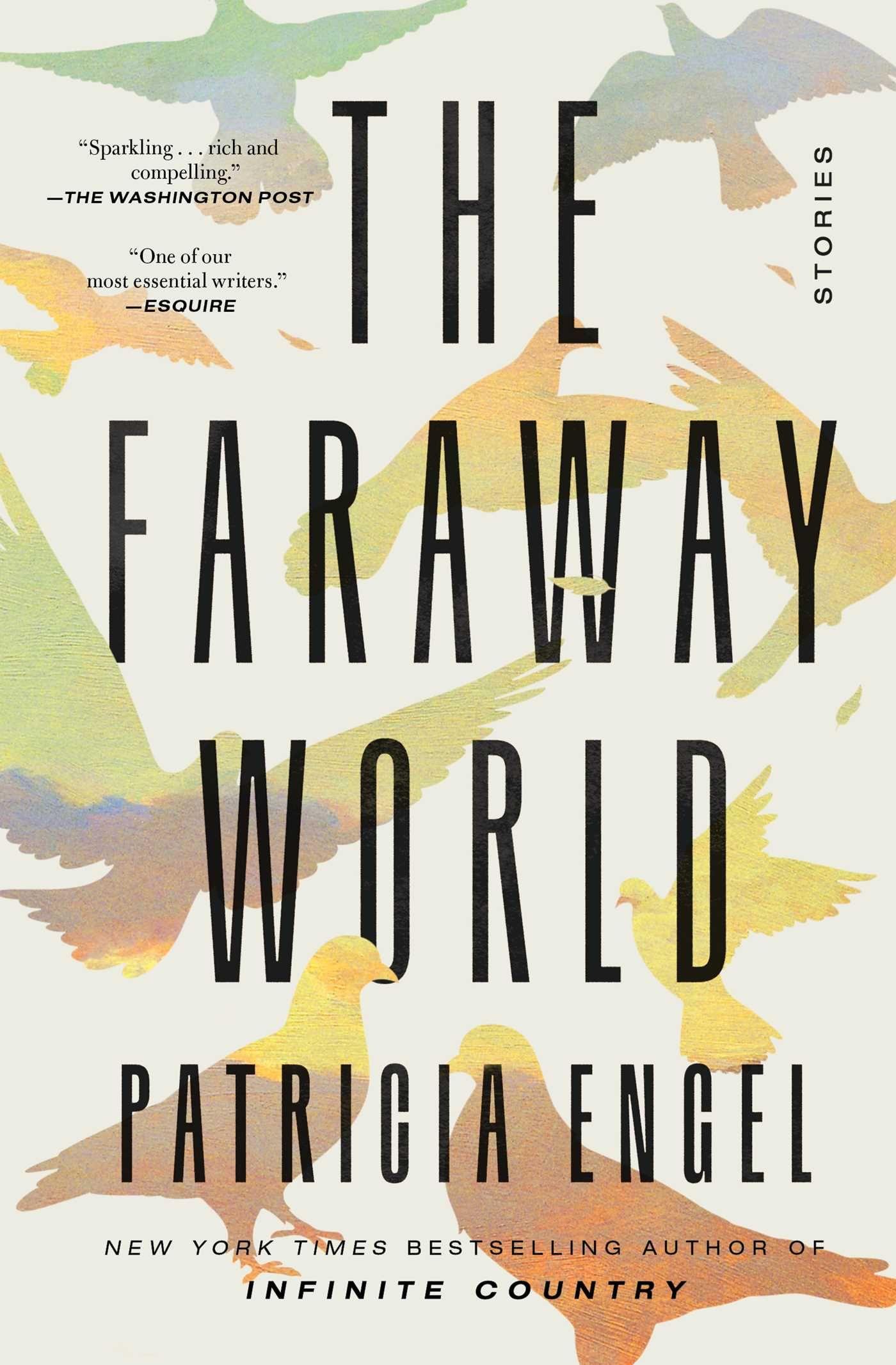 Vorderes Coverbild The Faraway World