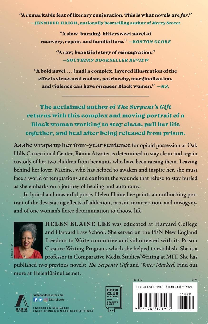 Rückseitencover Pomegranate