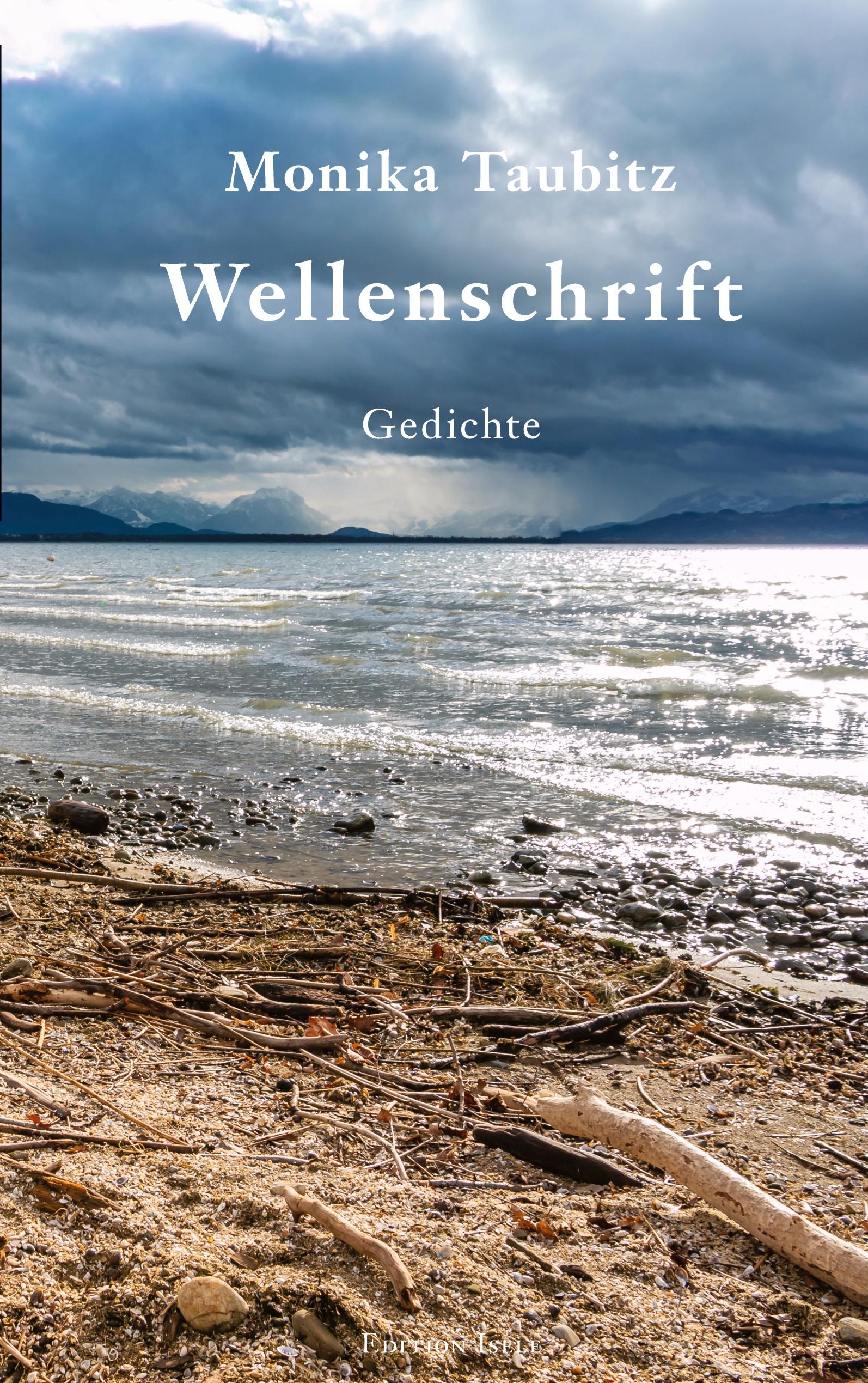 Vorderes Coverbild Wellenschrift