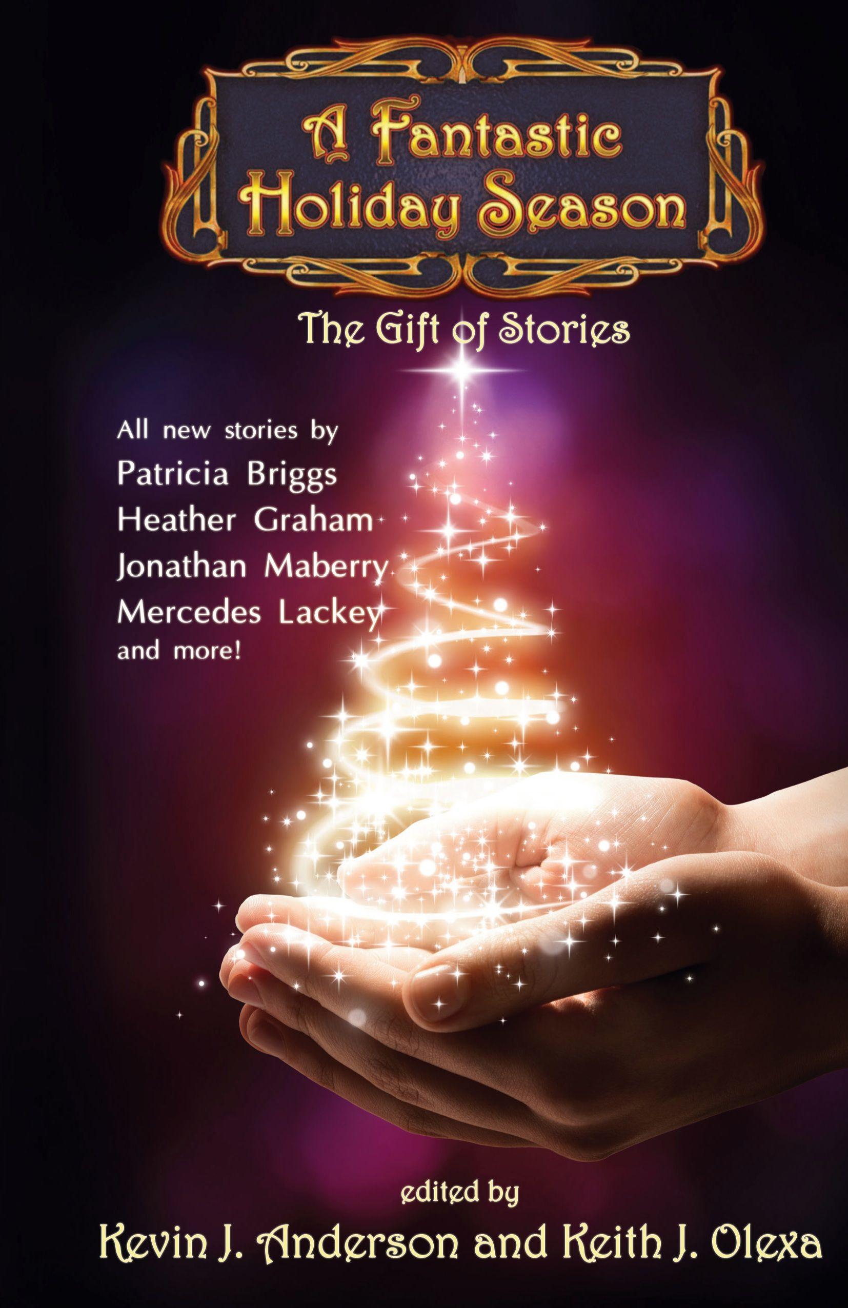 Vorderes Coverbild A Fantastic Holiday Season