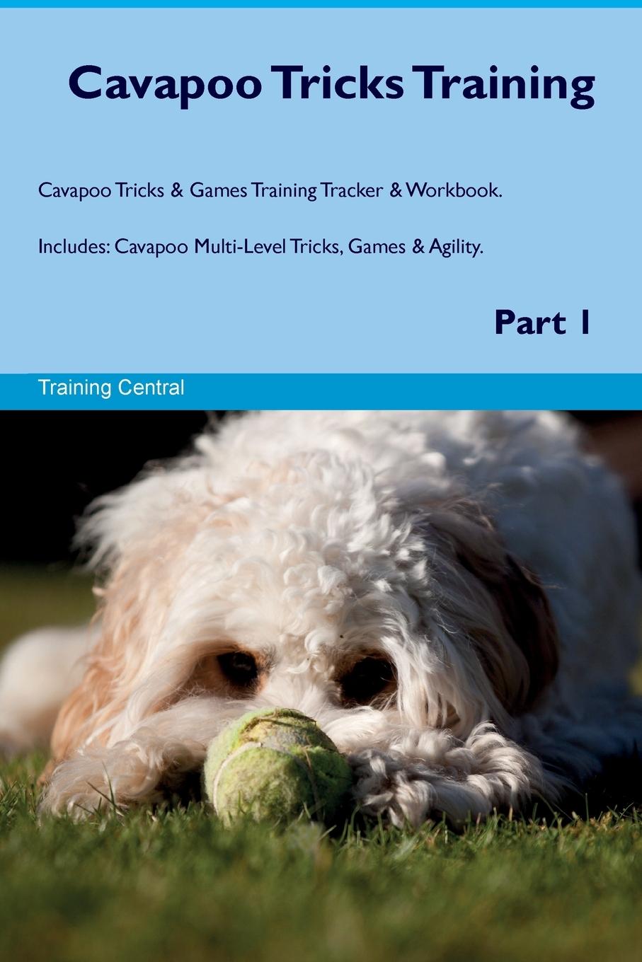 Vorderes Coverbild Cavapoo Tricks Training Cavapoo Tricks & Games Training Tracker &  Workbook.  Includes