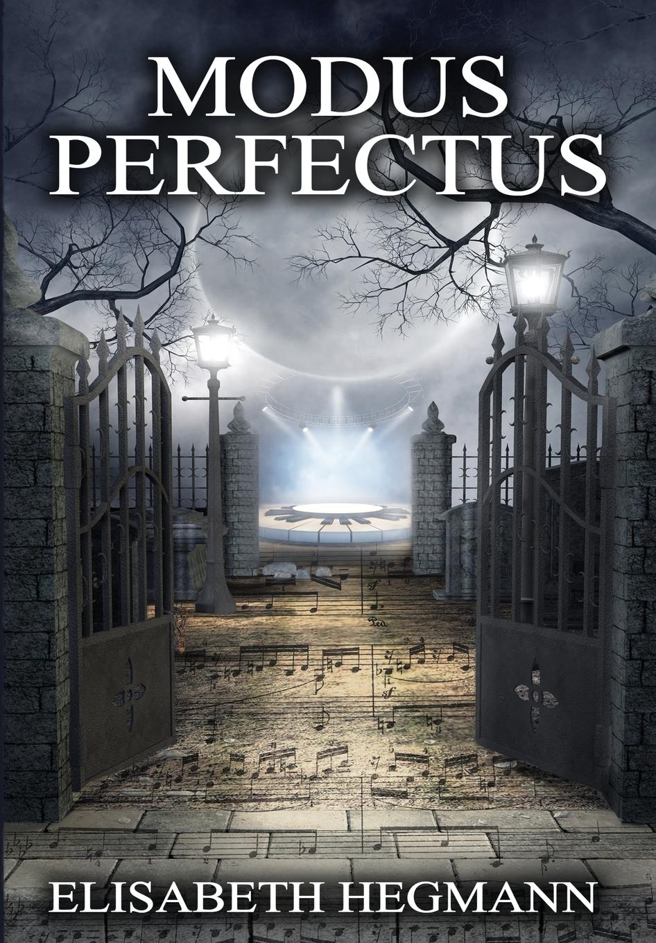 Vorderes Coverbild Modus Perfectus