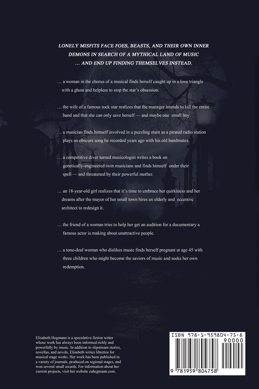 Rückseitencover Modus Perfectus