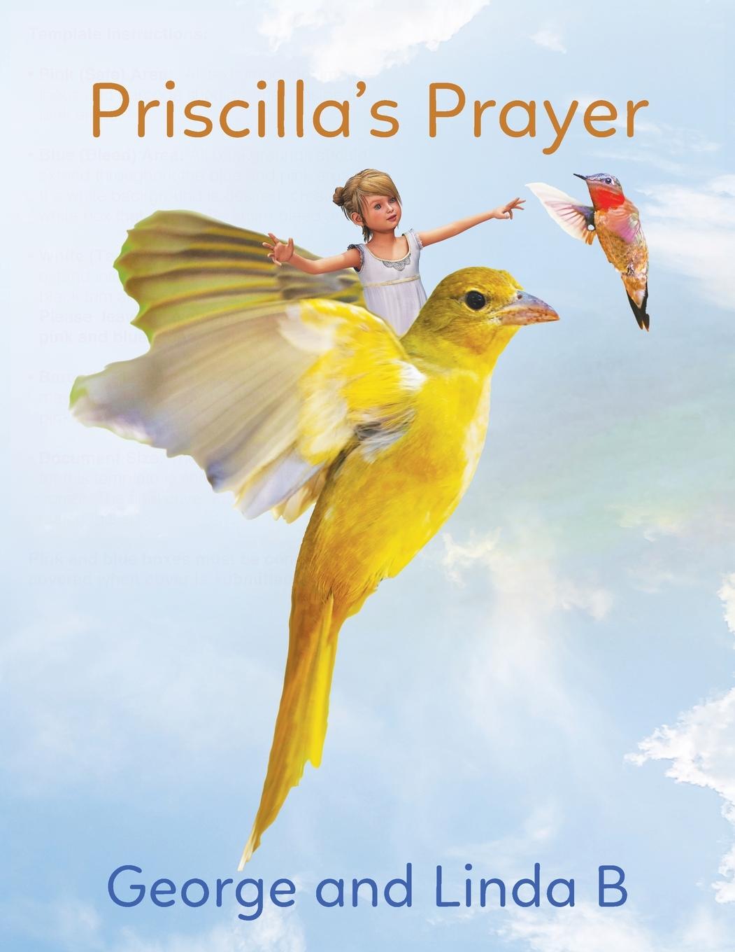 Vorderes Coverbild Priscilla's Prayer