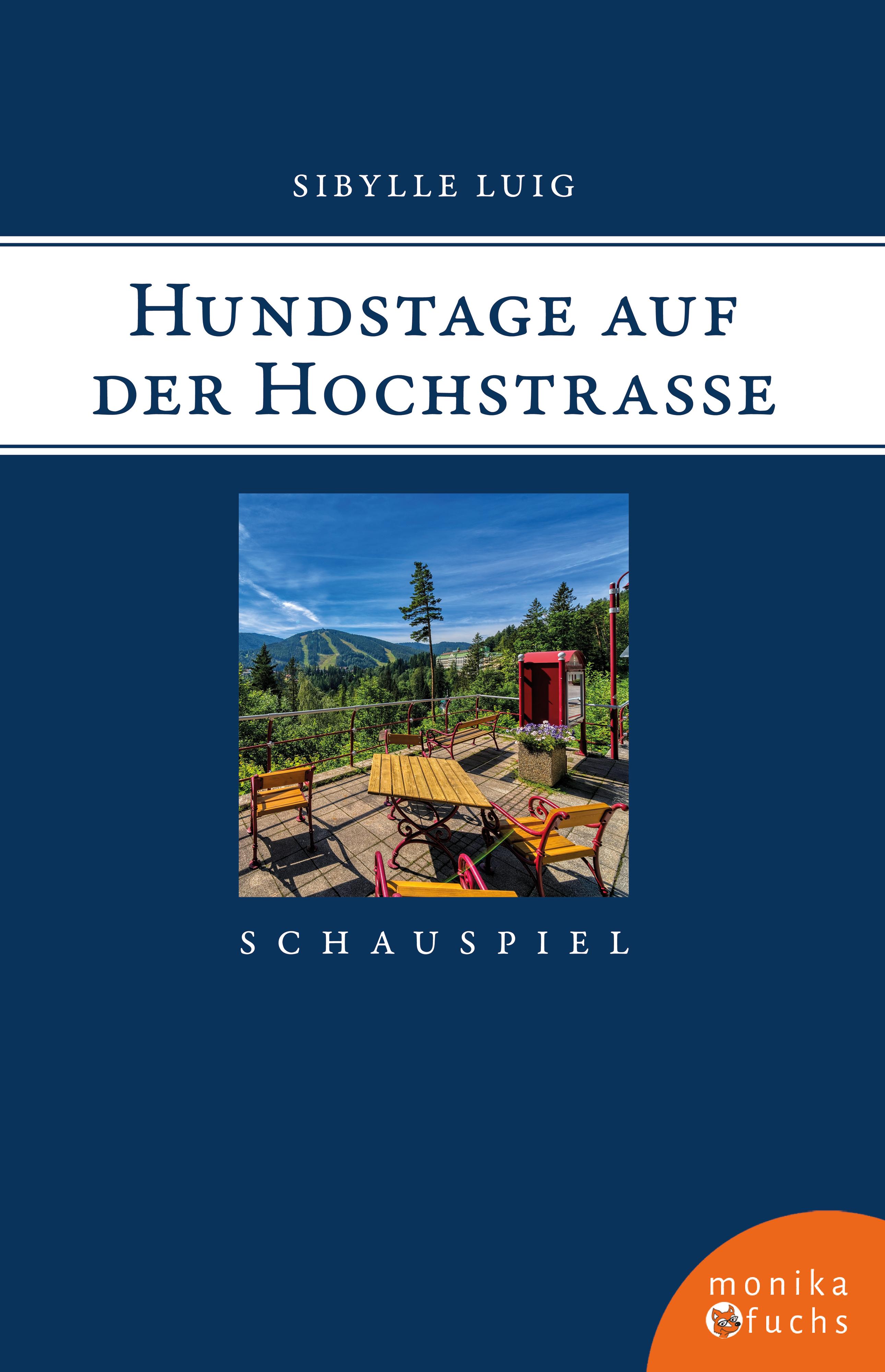 Vorderes Coverbild Hundstage auf der Hochstraße