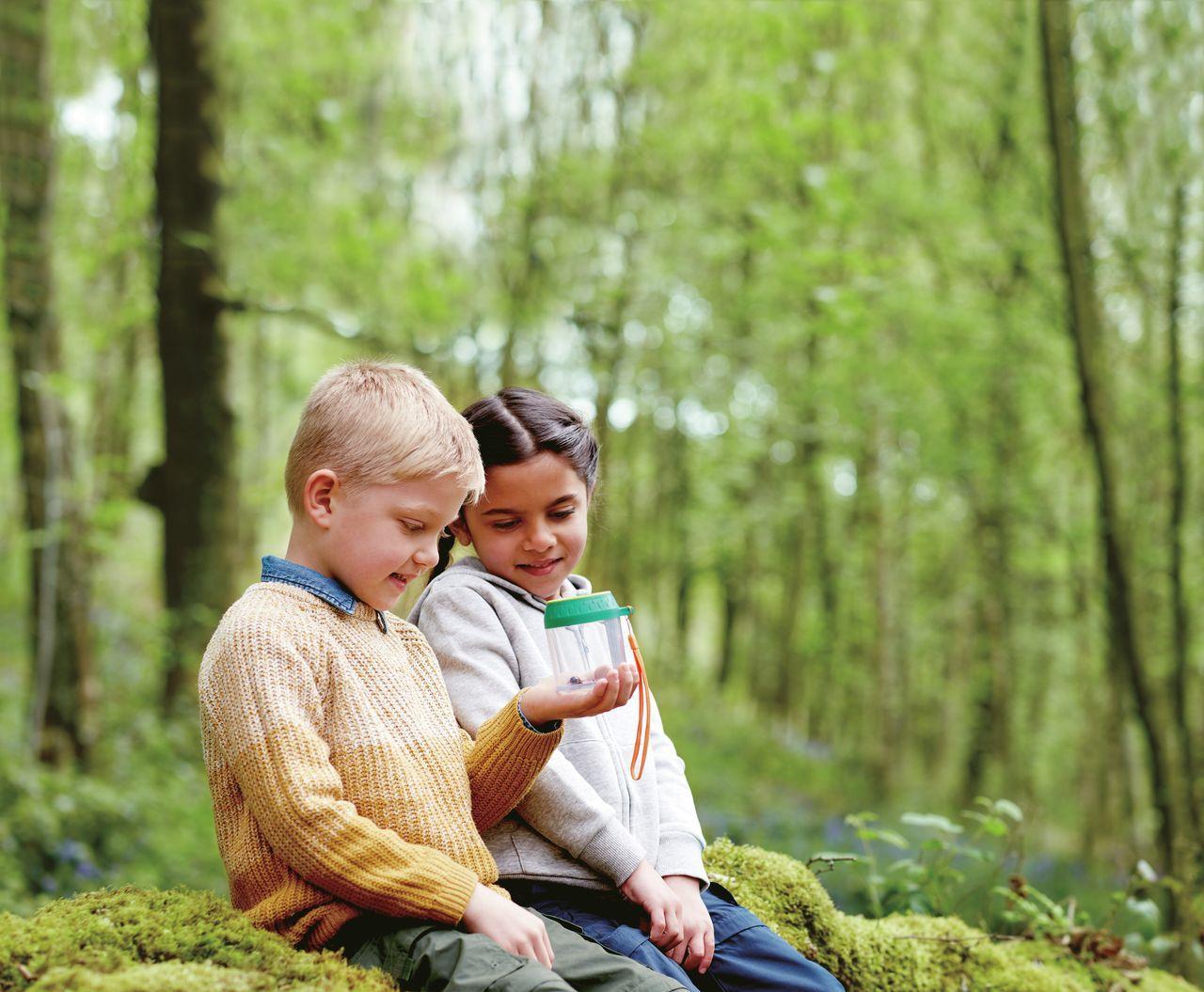 Beispielinhalt (Bild) Entdecker-Käferglas