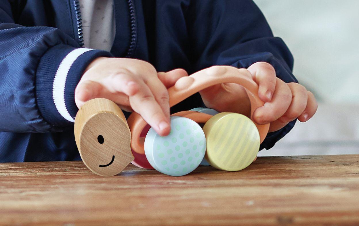 Beispielinhalt (Bild) Rennschildkröte Rike