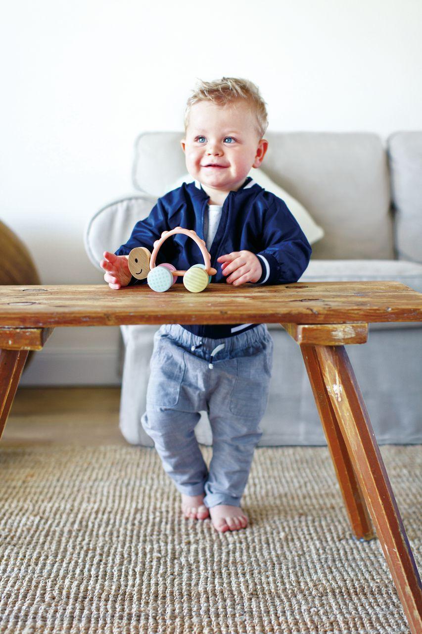 Beispielinhalt (Bild) Rennschildkröte Rike