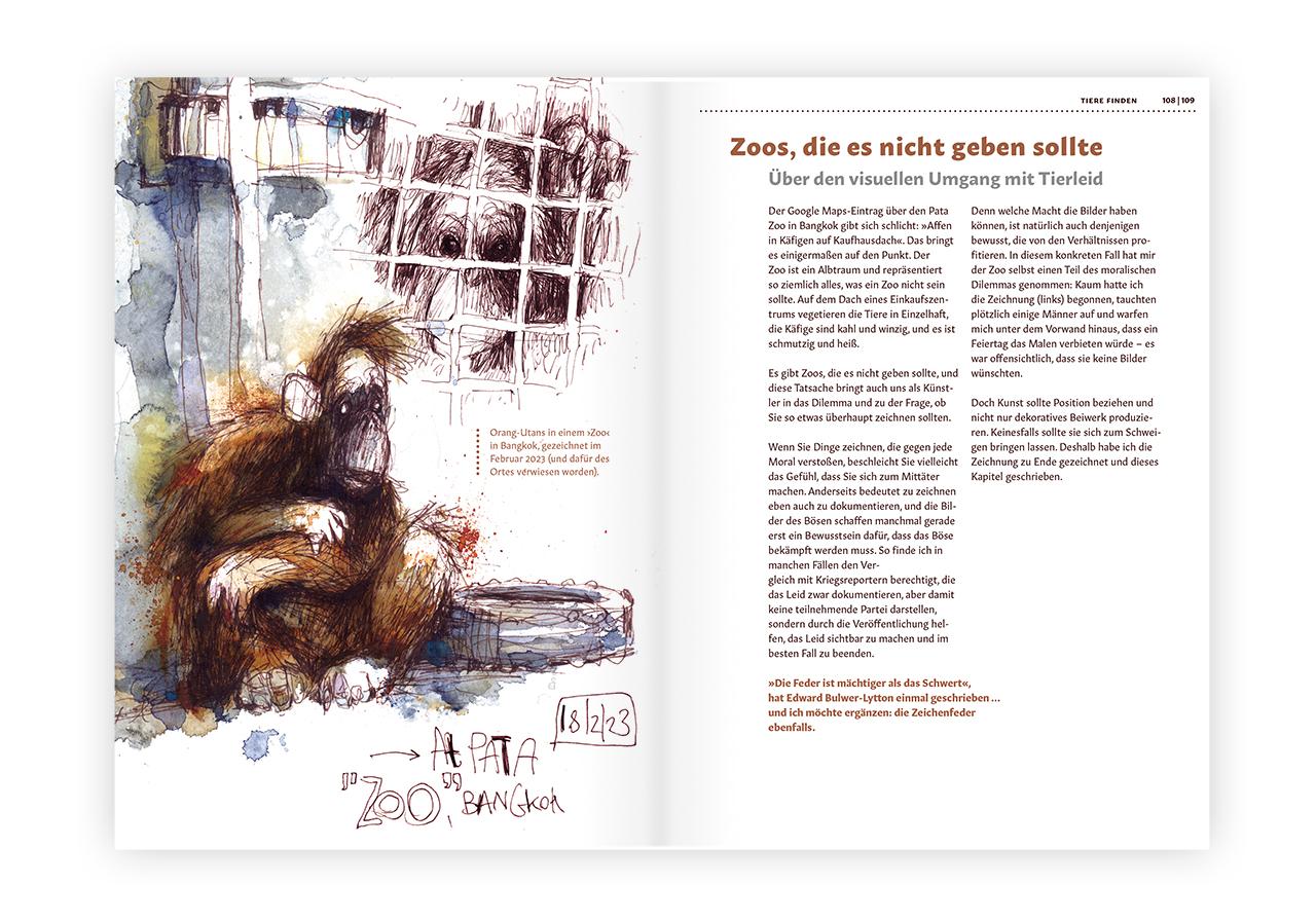 Beispielinhalt (Bild) Tiere zeichnen und verstehen