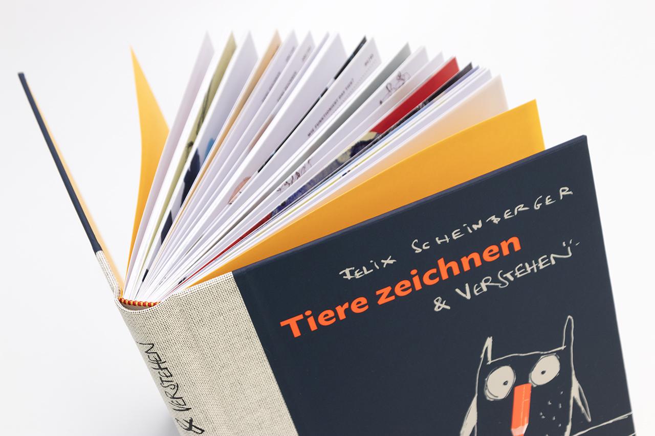 Beispielinhalt (Bild) Tiere zeichnen und verstehen