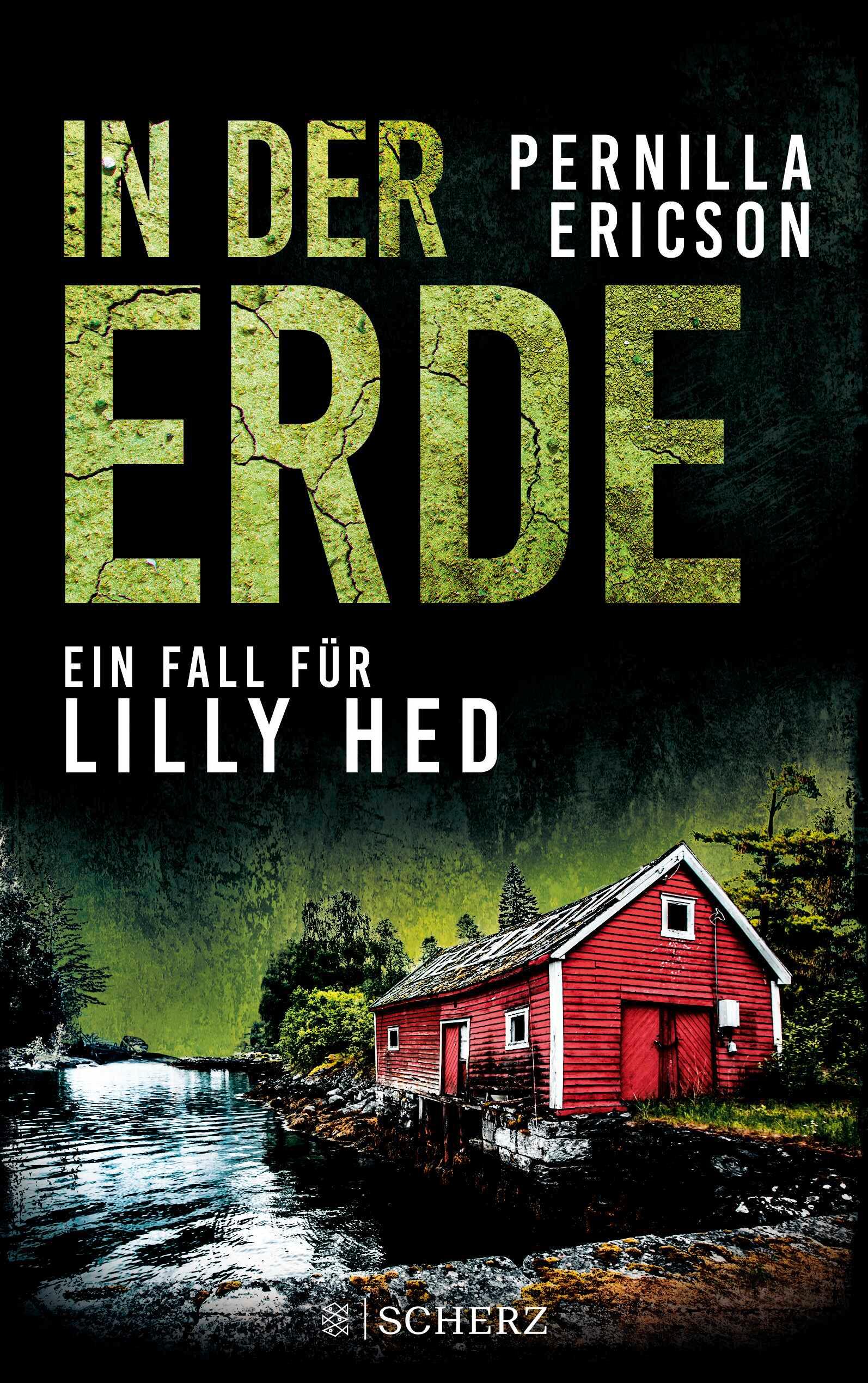 Vorderes Coverbild In der Erde