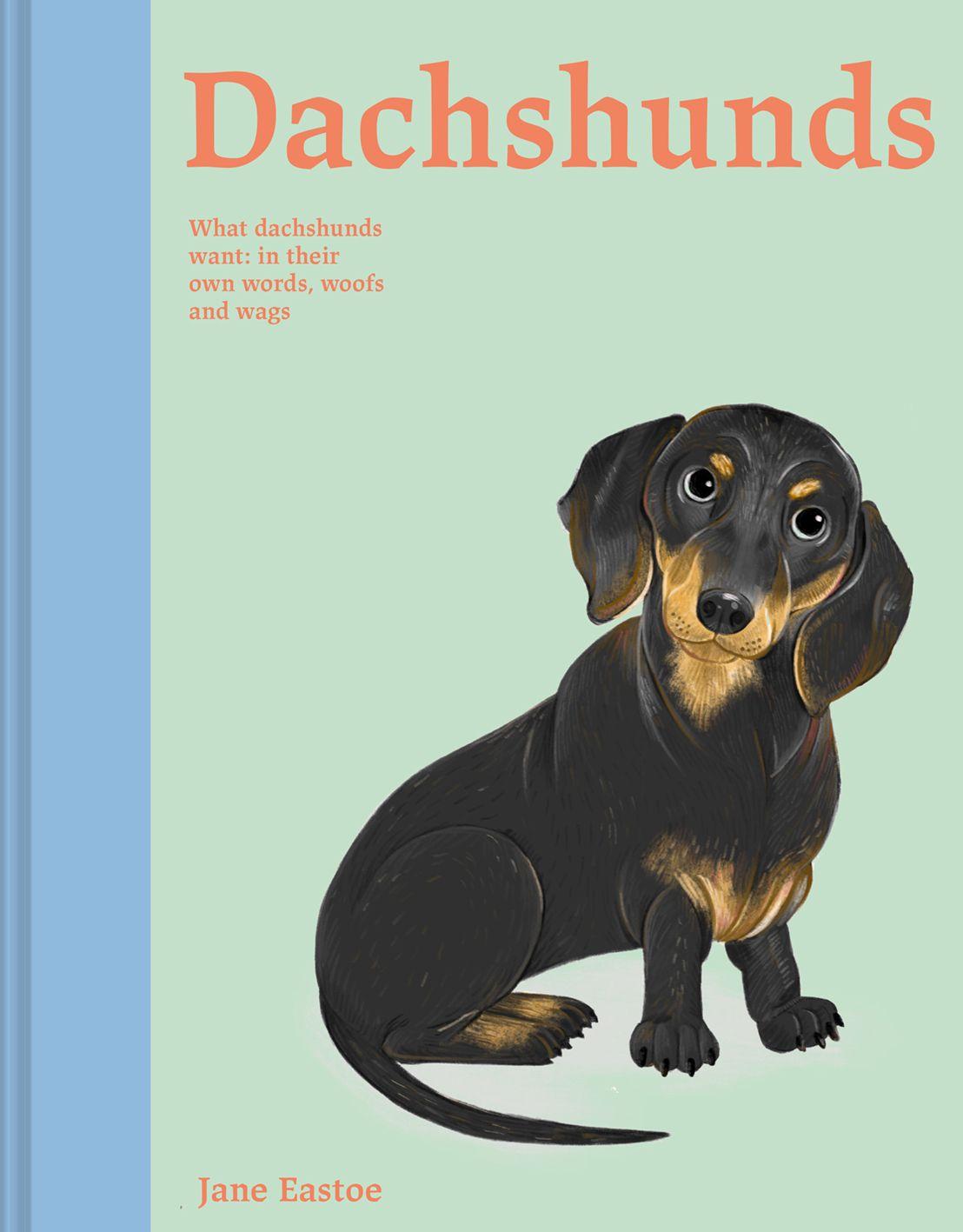 Vorderes Coverbild Dachshunds