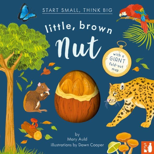 Vorderes Coverbild Little, Brown Nut