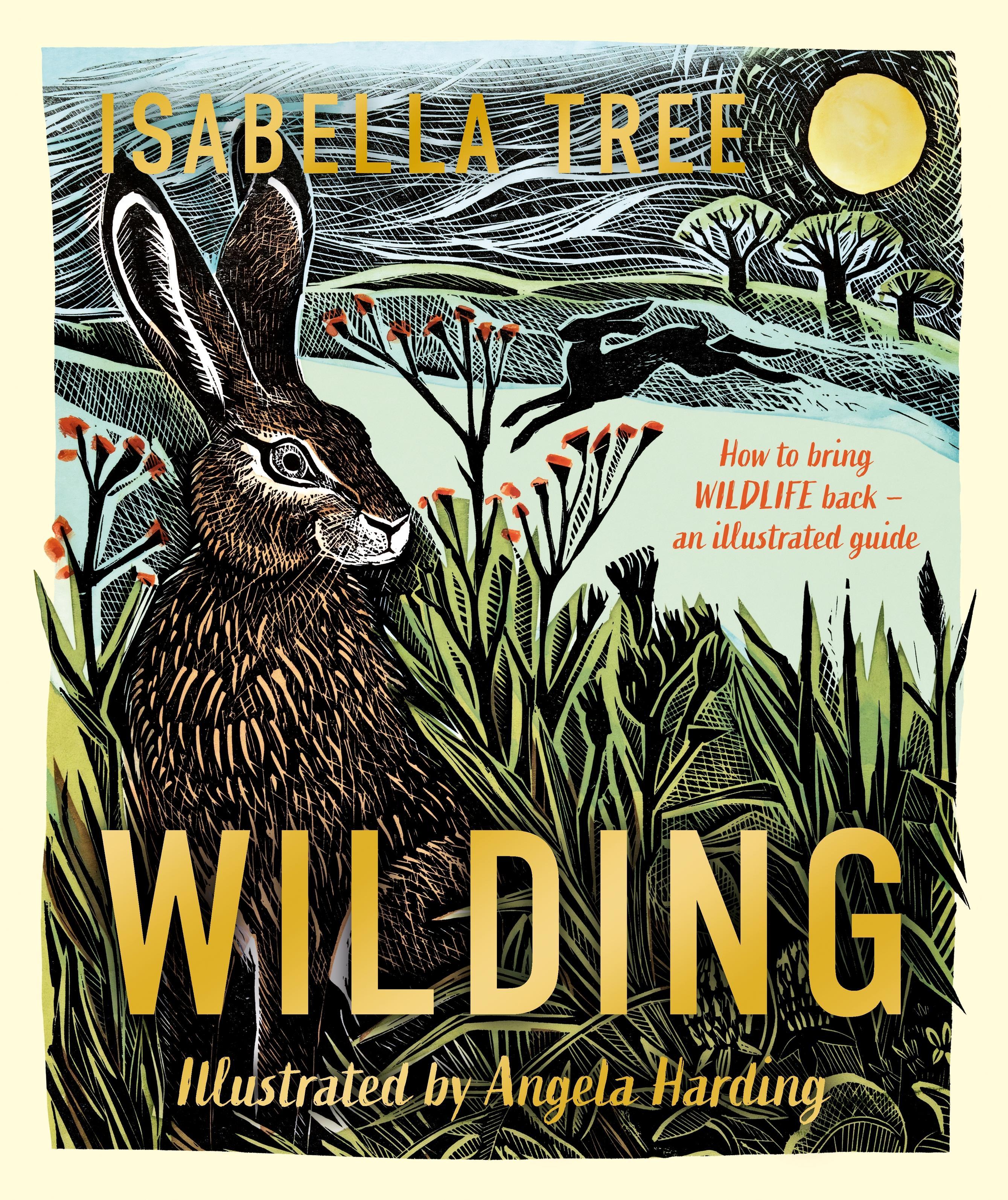 Vorderes Coverbild Wilding: How to Bring Wildlife Back - an Illustrated Guide