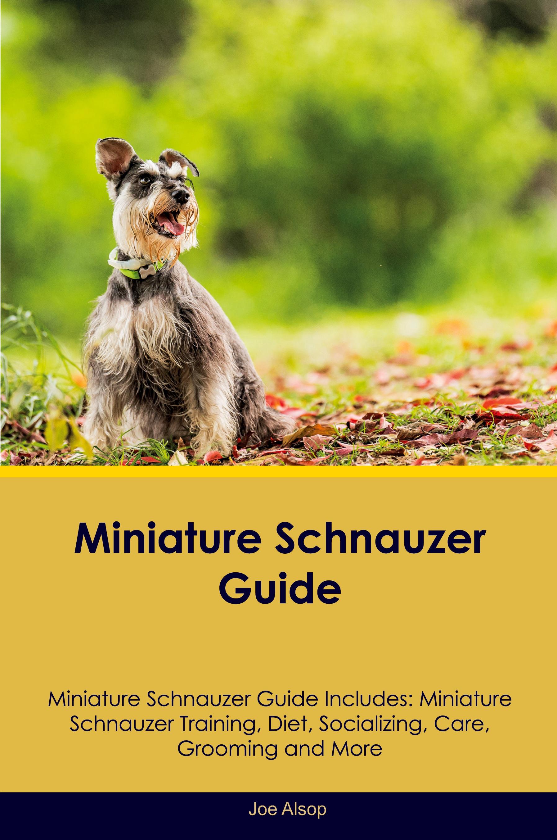 Vorderes Coverbild Miniature Schnauzer Guide Miniature Schnauzer Guide Includes