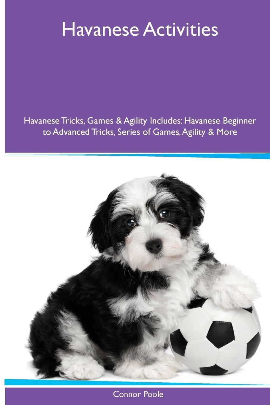 Vorderes Coverbild Havanese Activities  Havanese Tricks, Games & Agility. Includes
