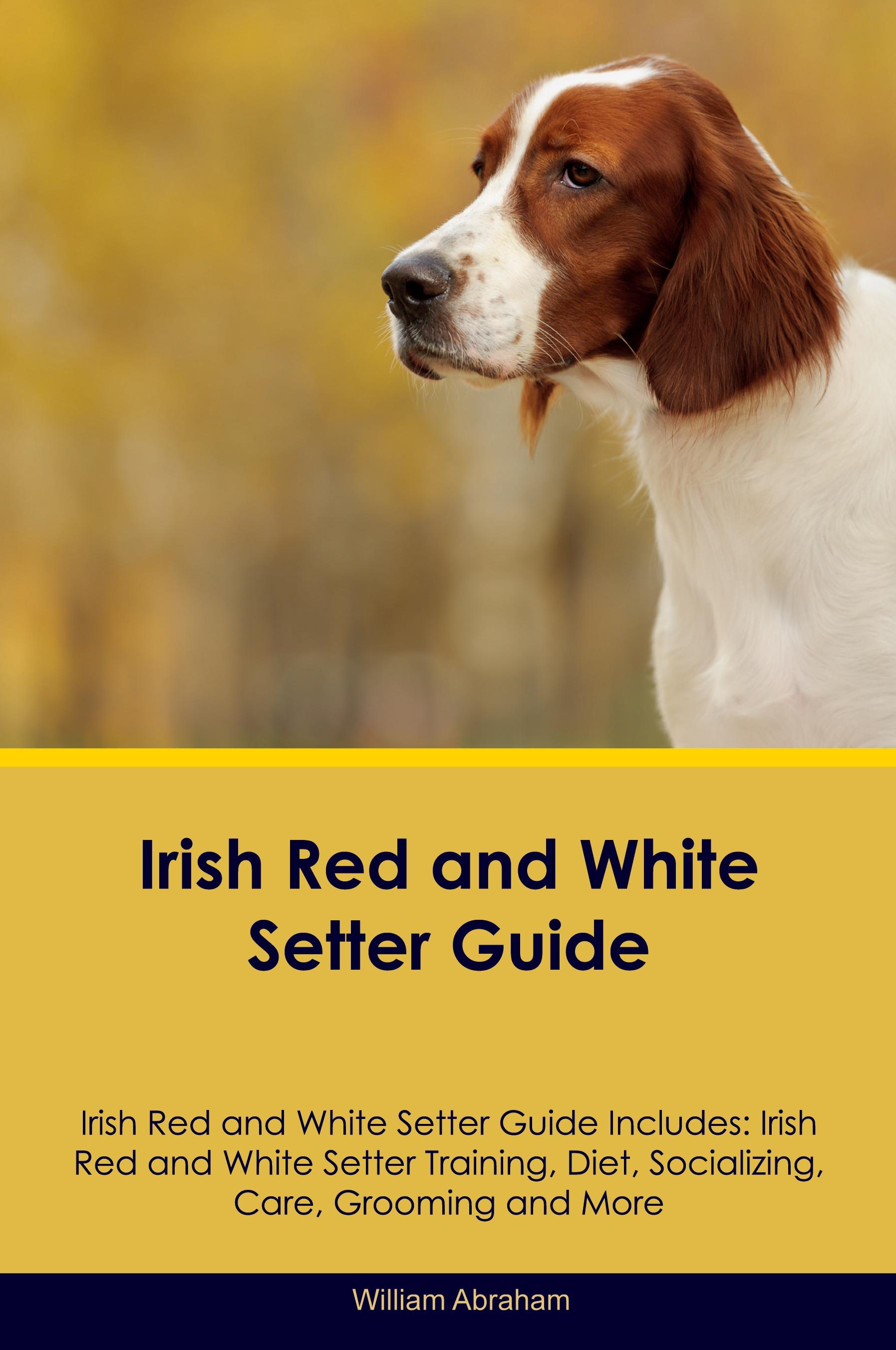 Vorderes Coverbild Irish Red and White Setter Guide Irish Red and White Setter Guide Includes