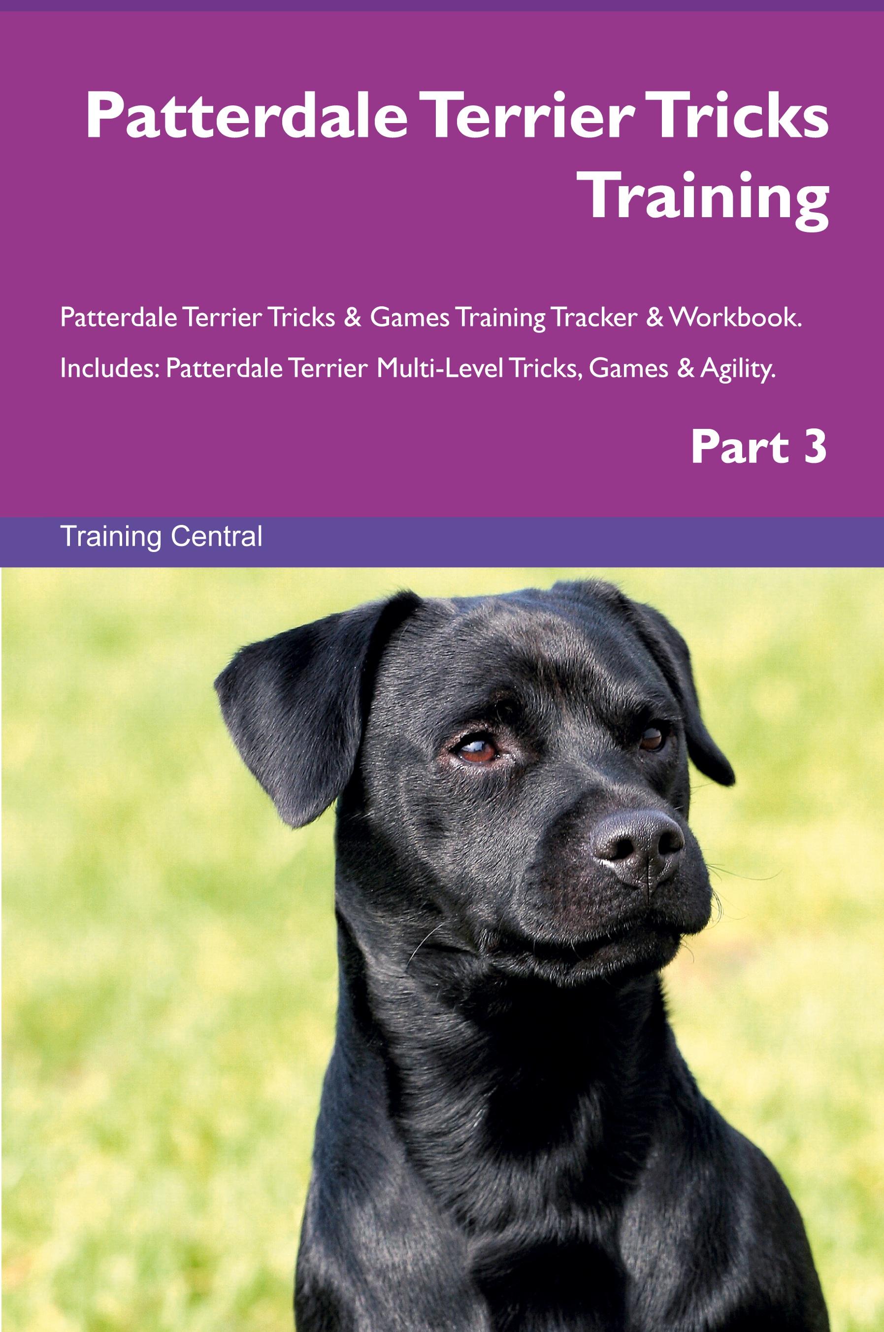 Vorderes Coverbild Patterdale Terrier Tricks Training Patterdale Terrier Tricks & Games Training Tracker &  Workbook.  Includes