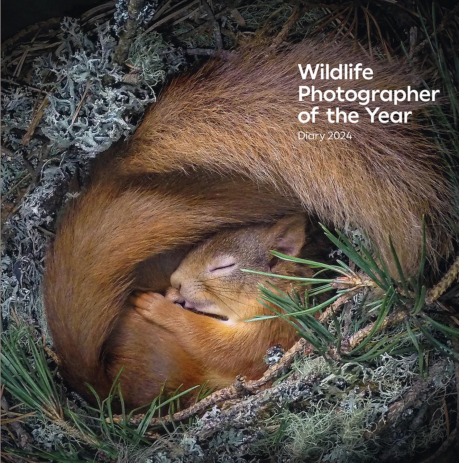 Vorderes Coverbild Wildlife Photographer of the Year Pocket Diary 2024
