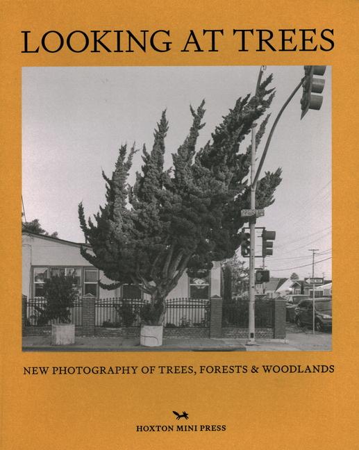 Vorderes Coverbild Looking At Trees