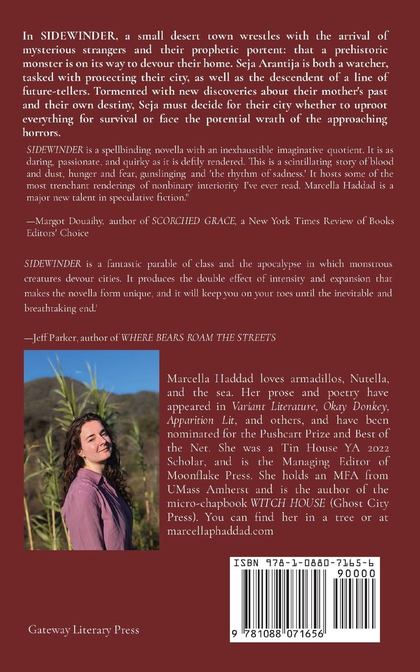 Rückseitencover Sidewinder