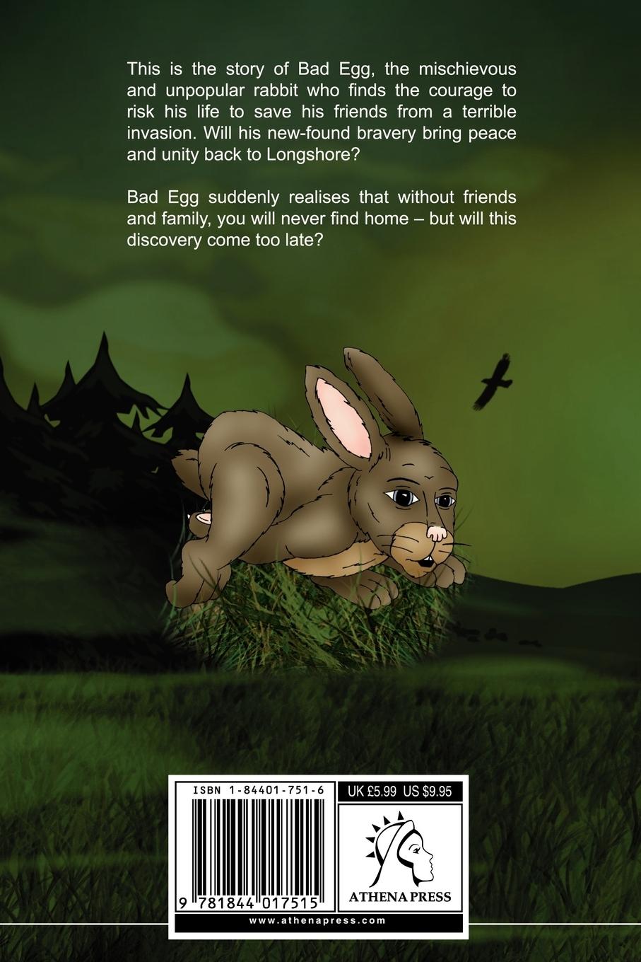 Rückseitencover The Battle at Longshore Causeway