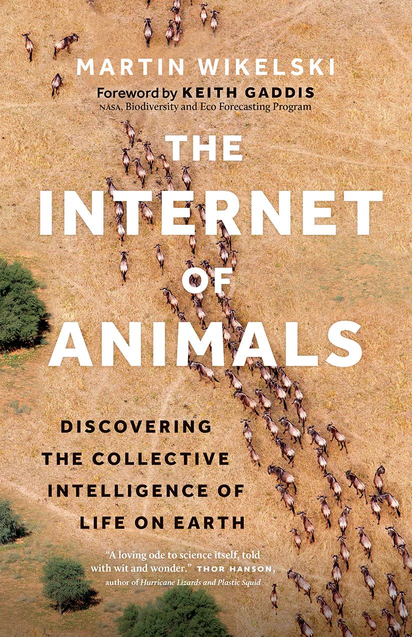 Vorderes Coverbild The Internet of Animals