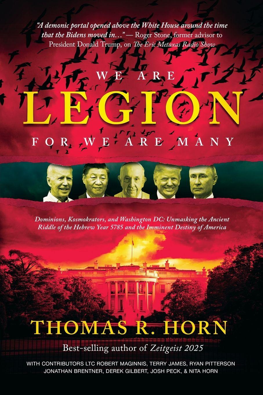 Vorderes Coverbild We are Legion for We are Many