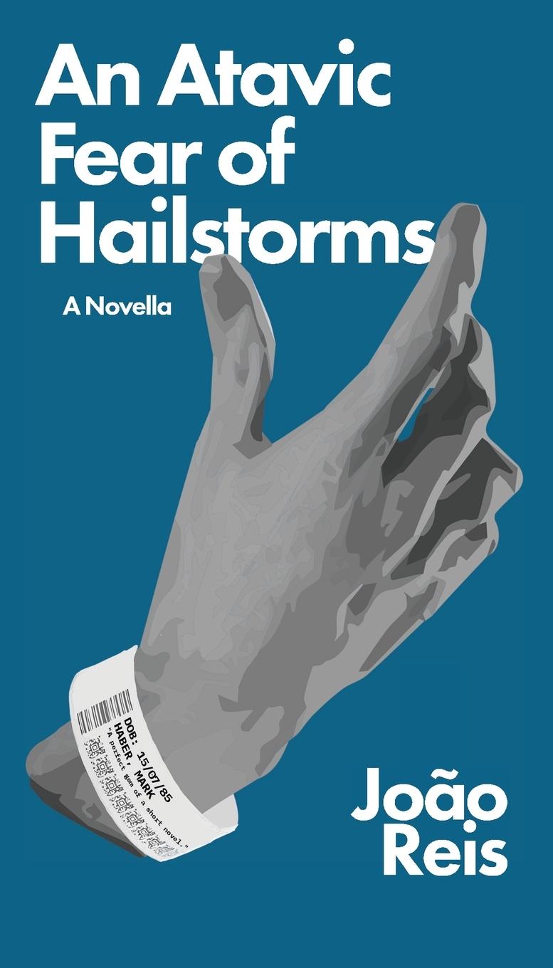 Vorderes Coverbild An Atavic Fear of Hailstorms