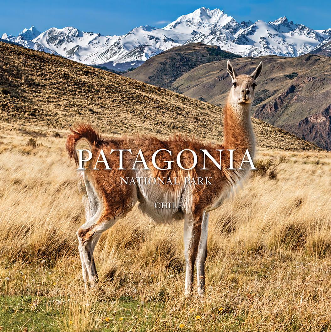 Vorderes Coverbild Patagonia National Park: Chile