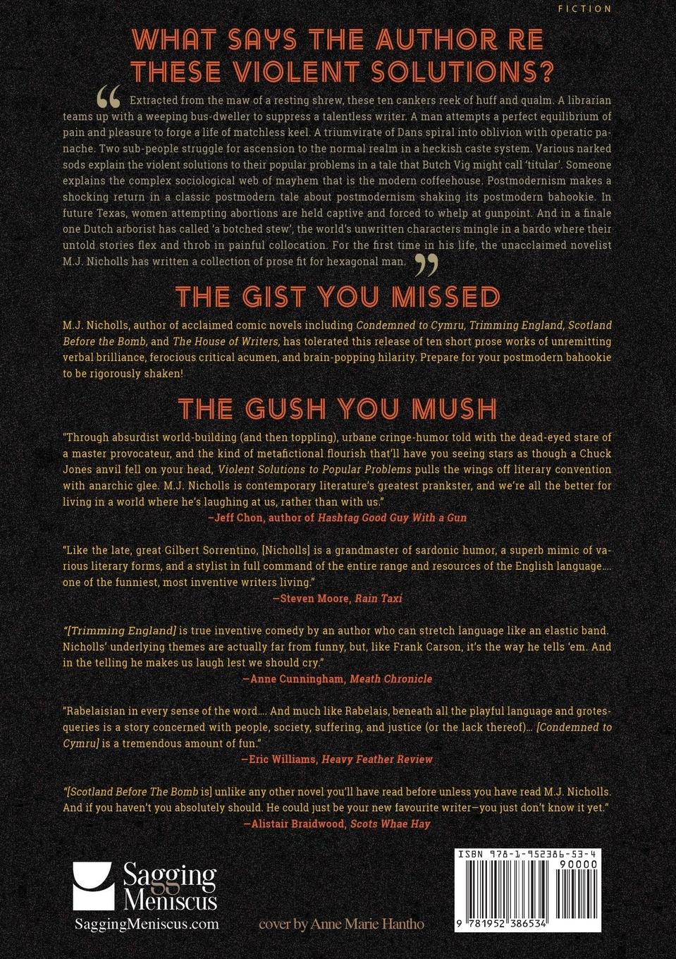 Rückseitencover Violent Solutions to Popular Problems