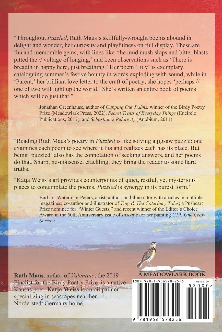 Rückseitencover Puzzled