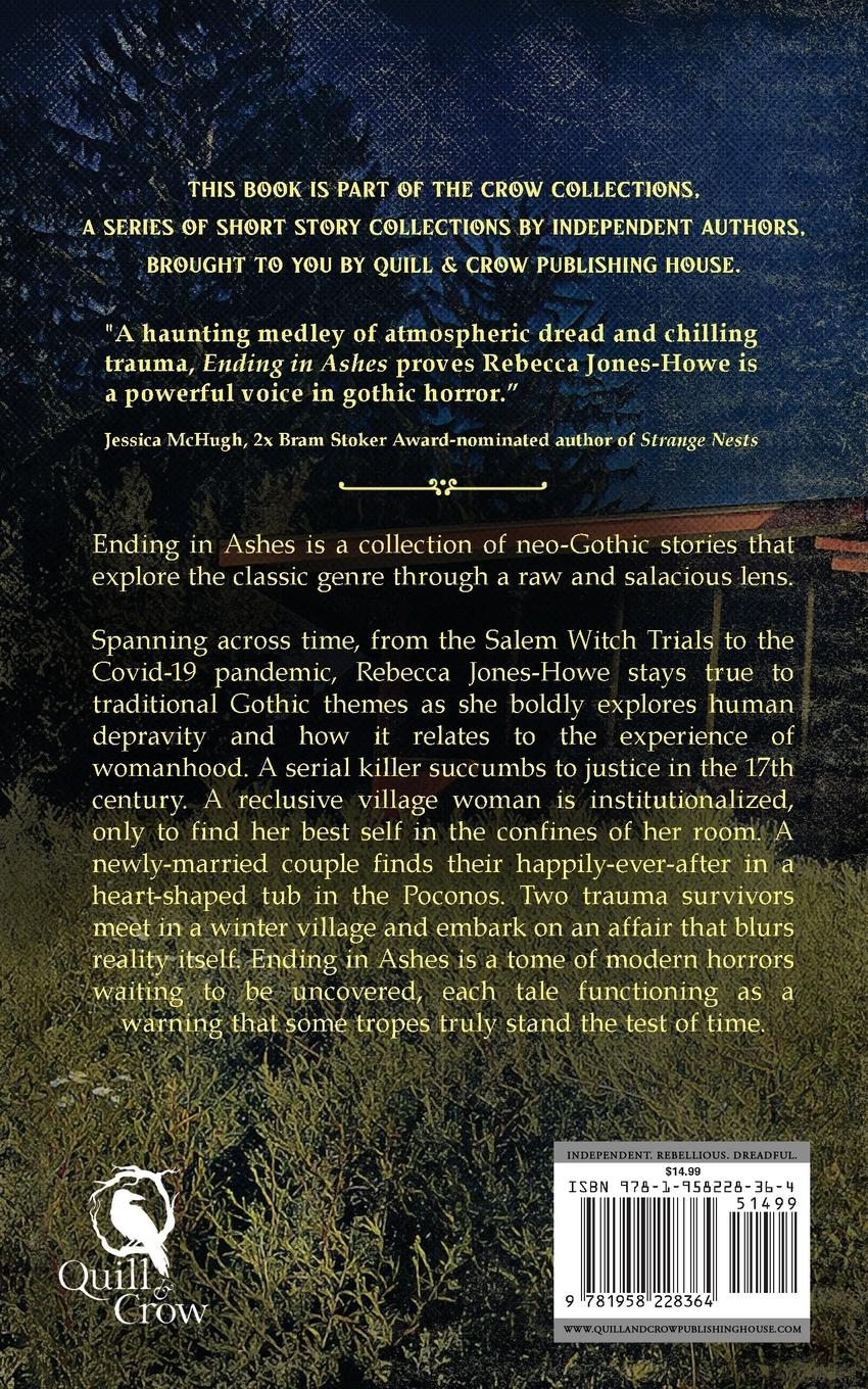 Rückseitencover Ending in Ashes