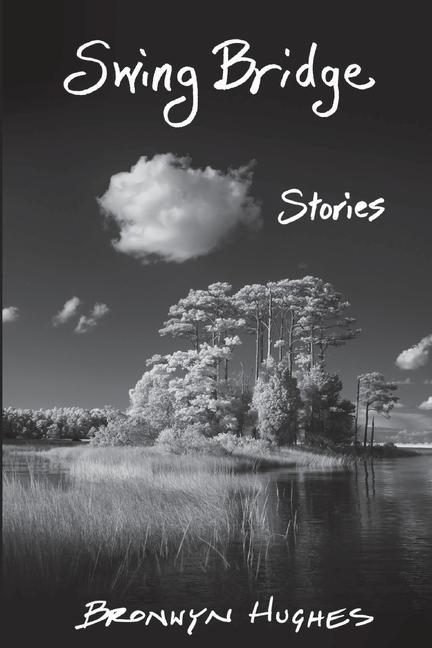 Vorderes Coverbild Swing Bridge